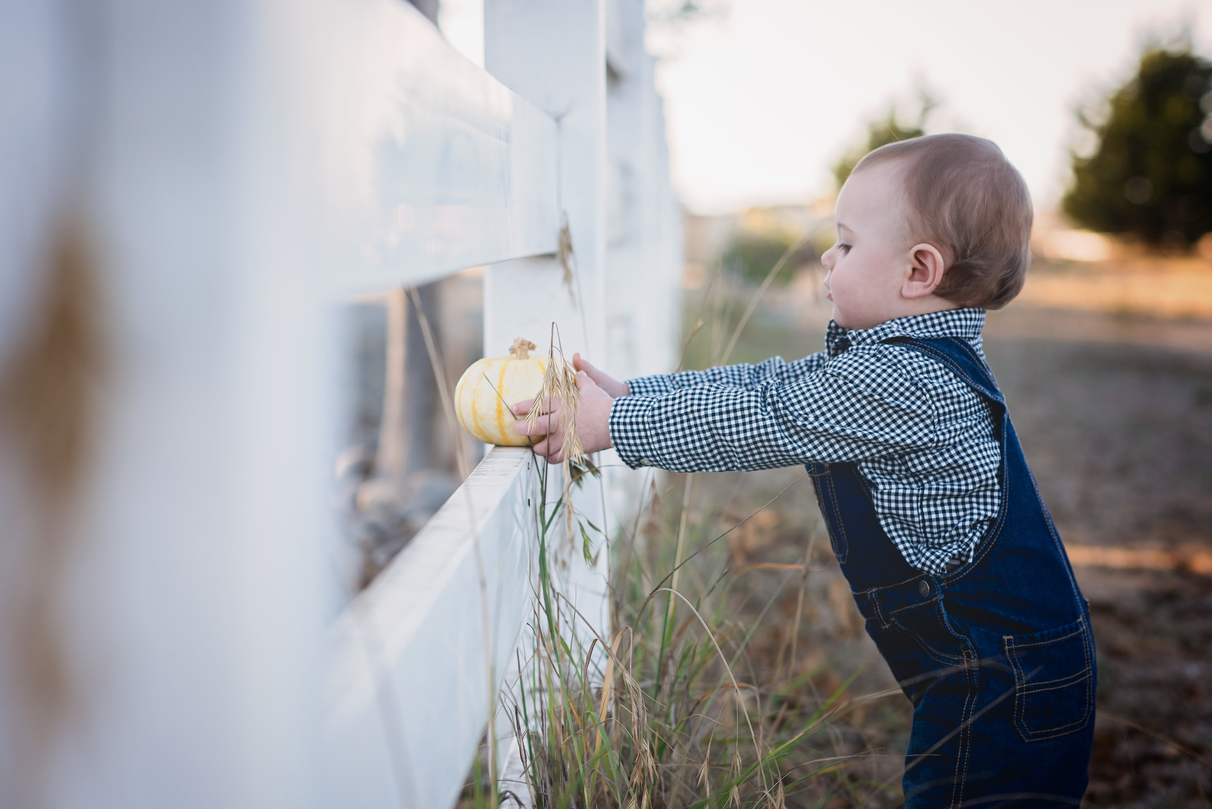 Carmel Children's Photographer