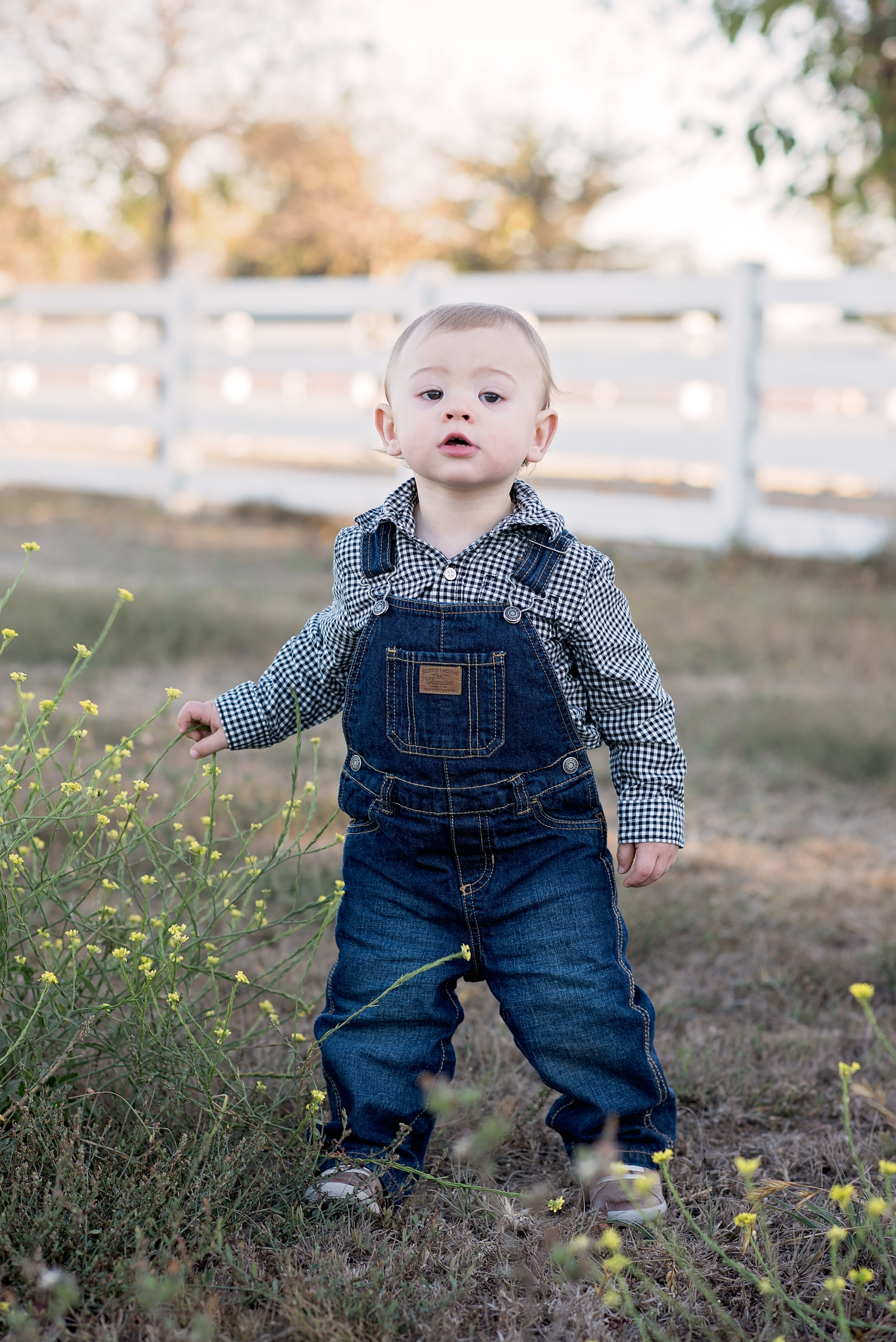 Carmel Family Photographer