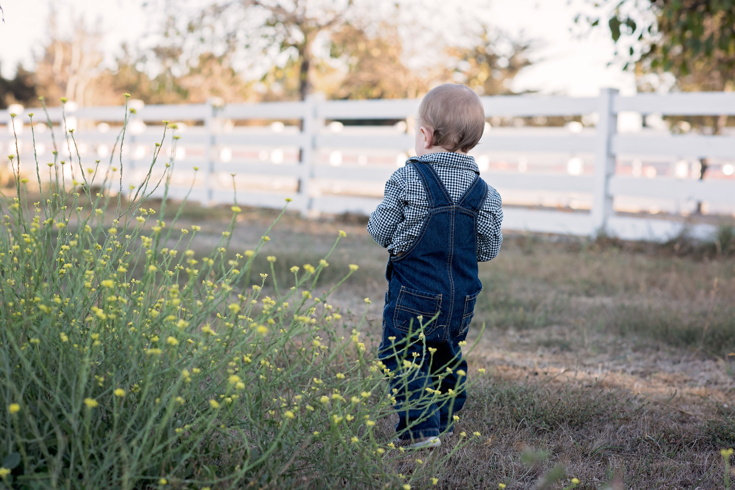 Monterey Family Photographer