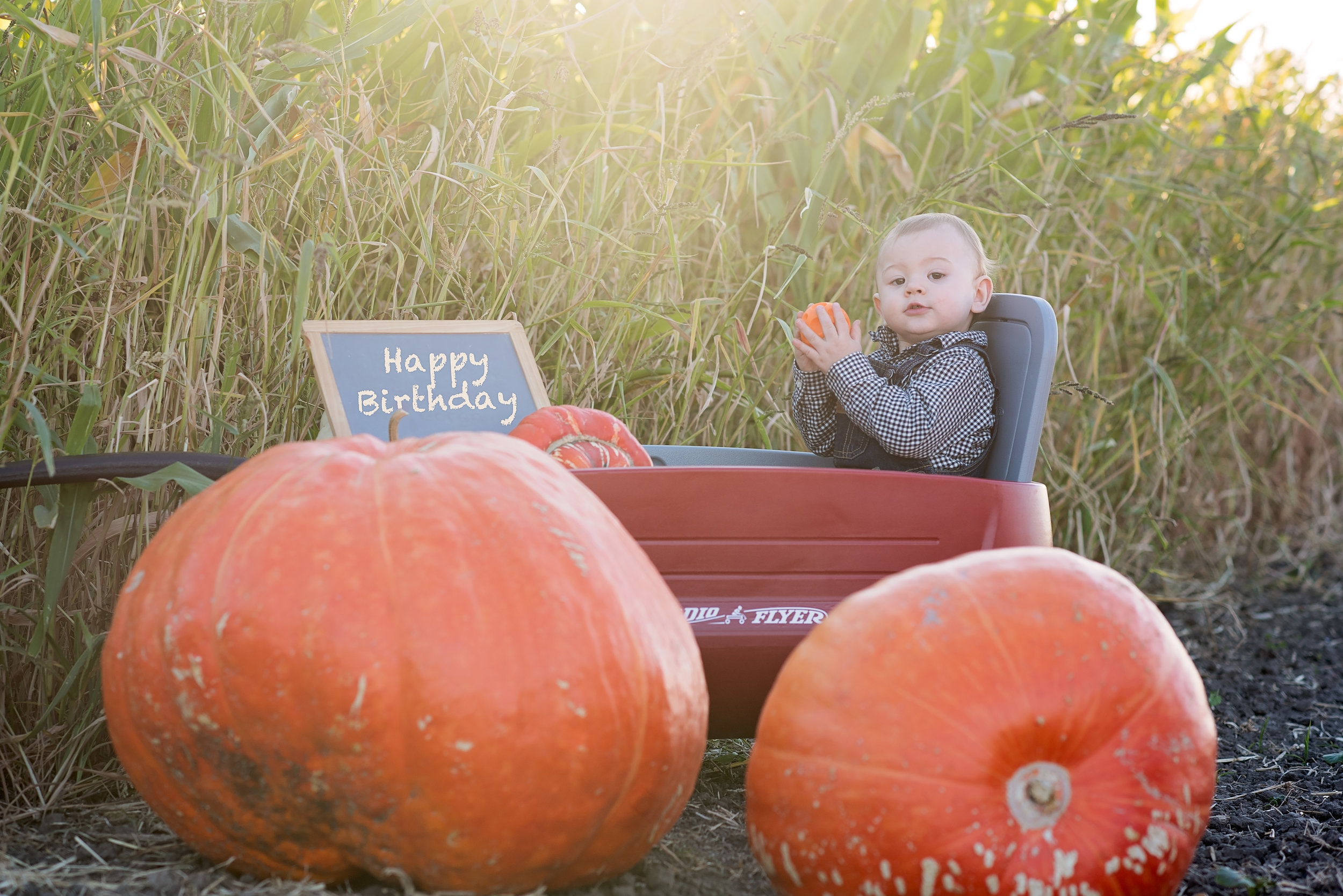 Birthday Pictures