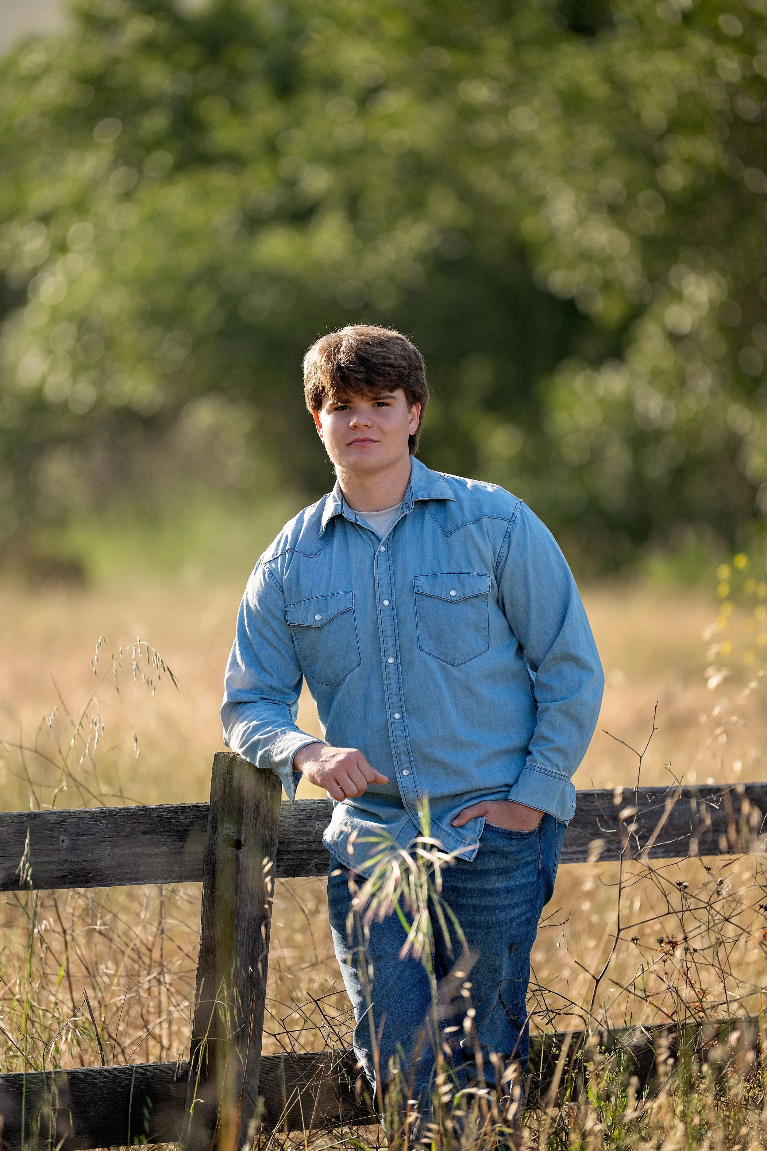 Gianni wearing a denim shirt for his senior portraits in the golden fields of Carmel Valley.