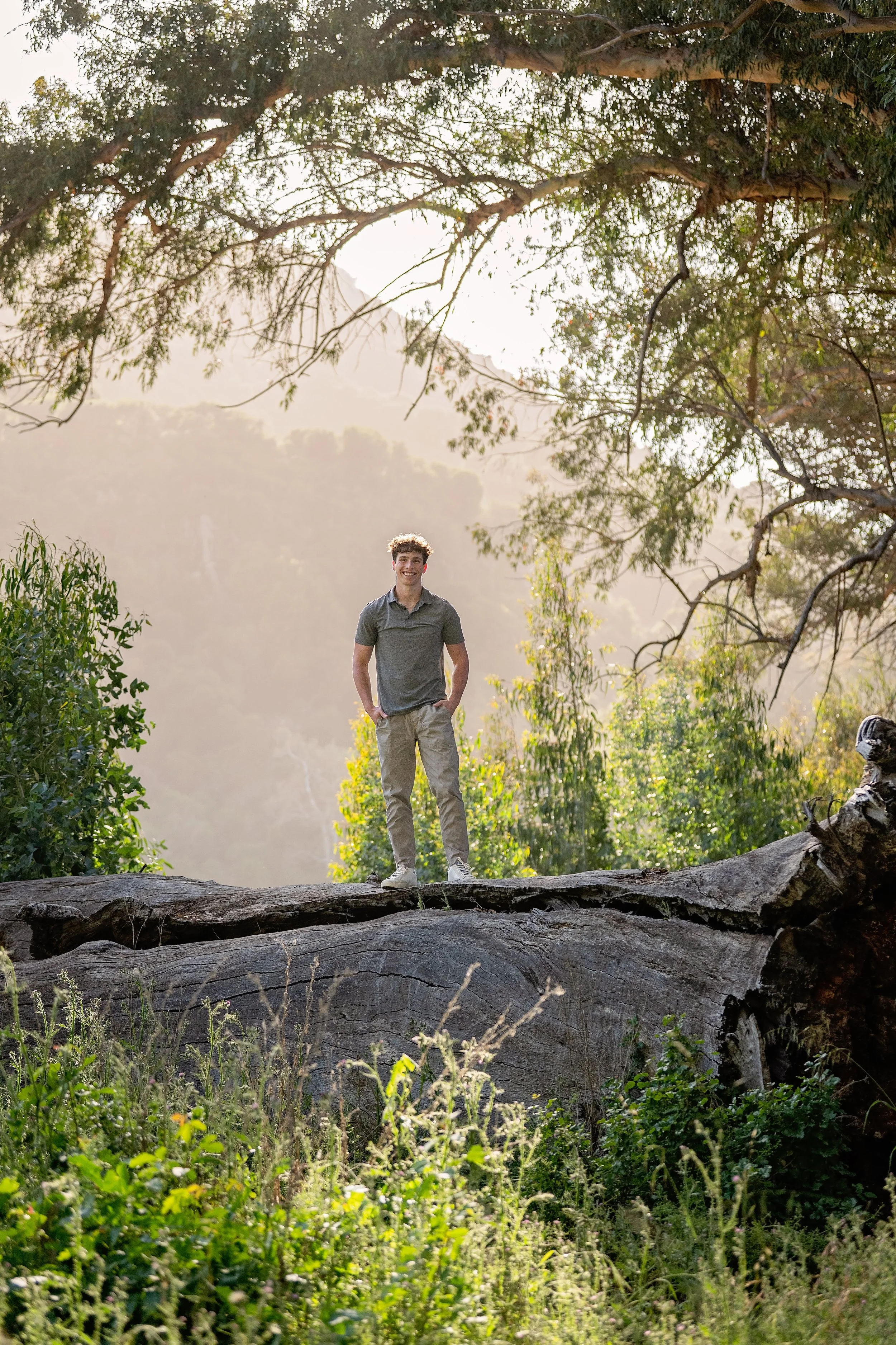 Male senior pictures standing on giant fallen tree in the golden hour sunshine