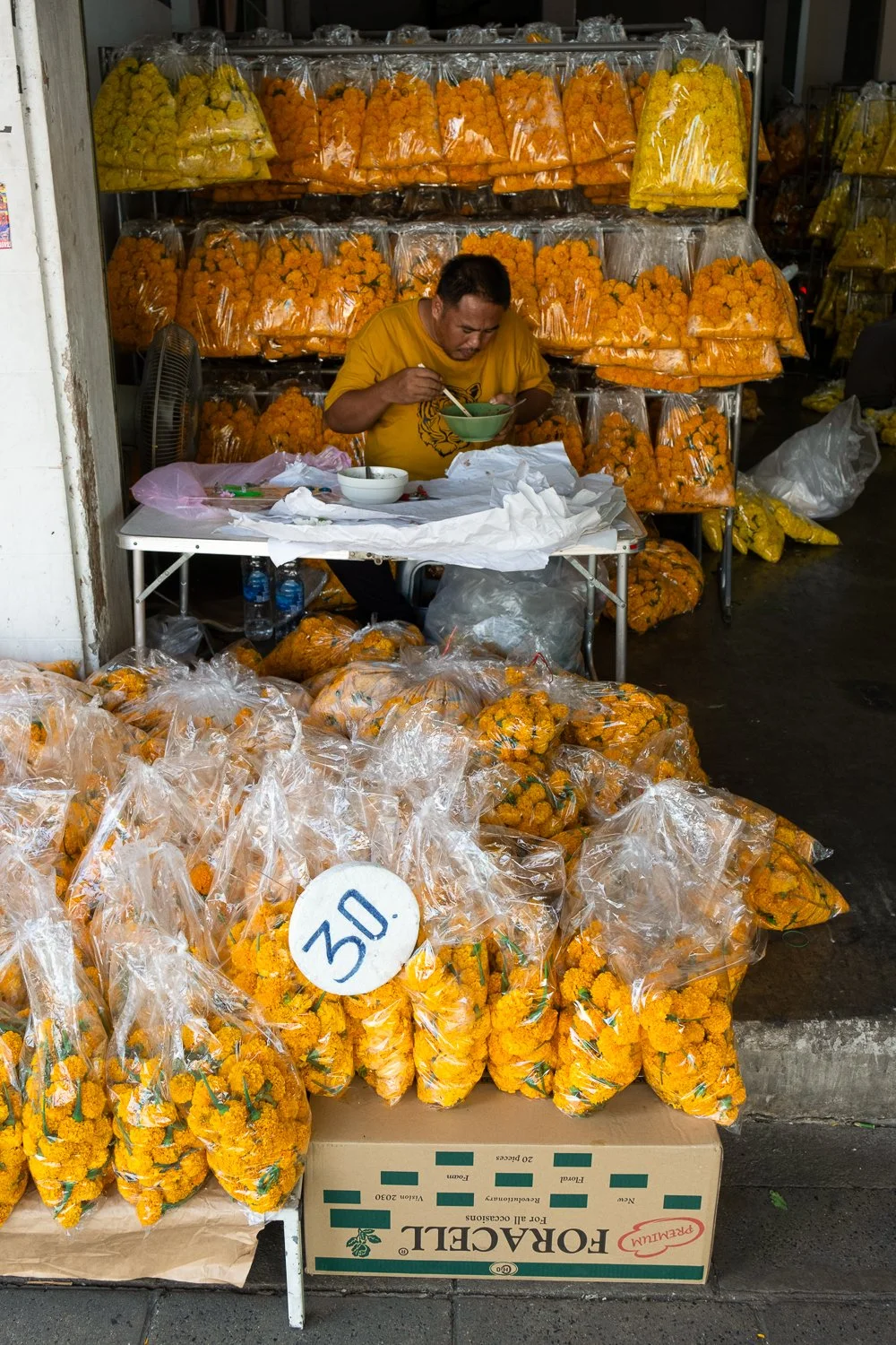 Stephanie Powell Portfolio-216.jpg