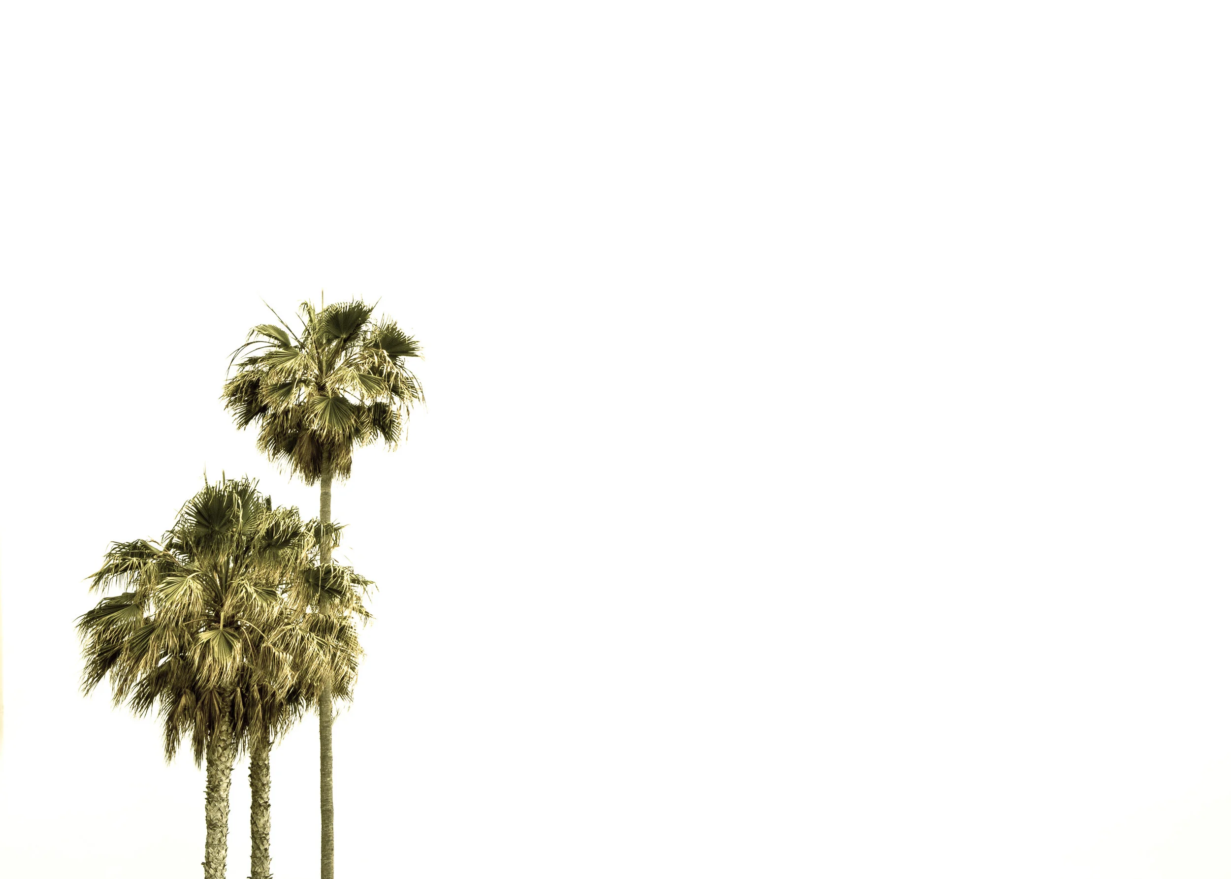 Places-33.jpg
