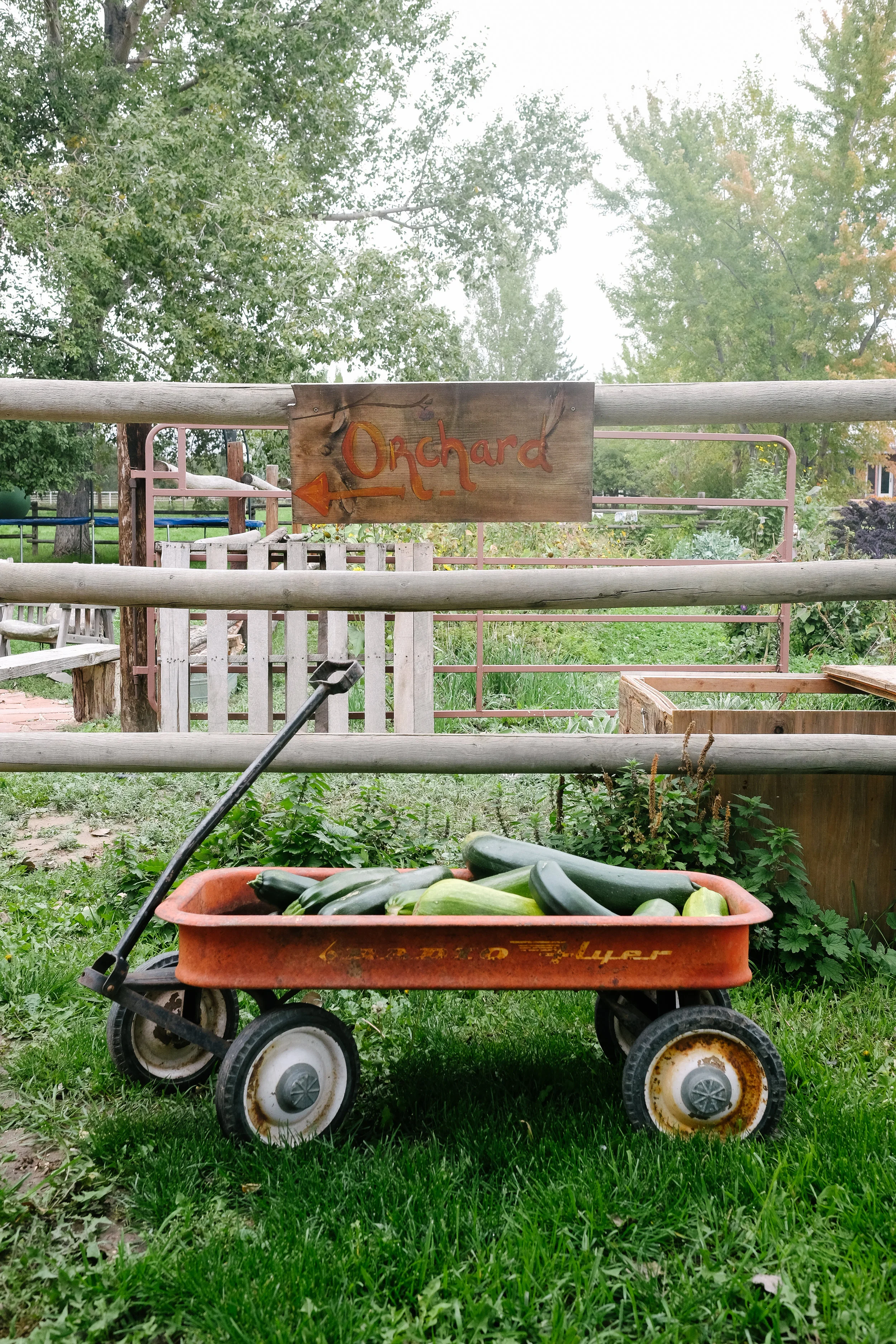 Laughing Buck Farm_Stephanie Powell-2.jpg