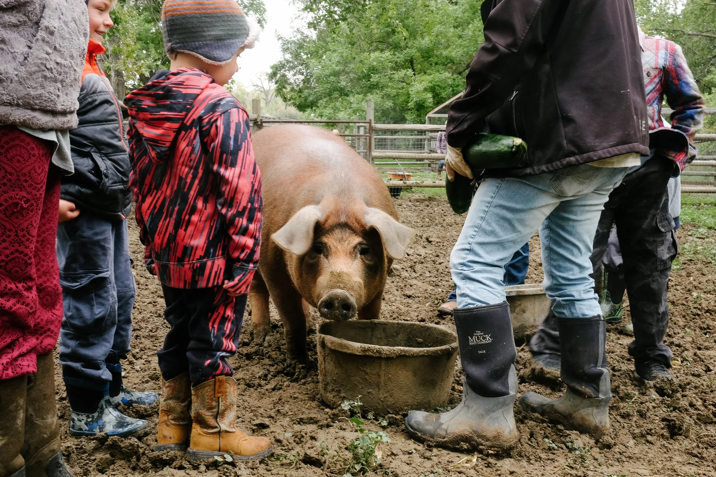 Laughing Buck Farm_Stephanie Powell-13.jpg