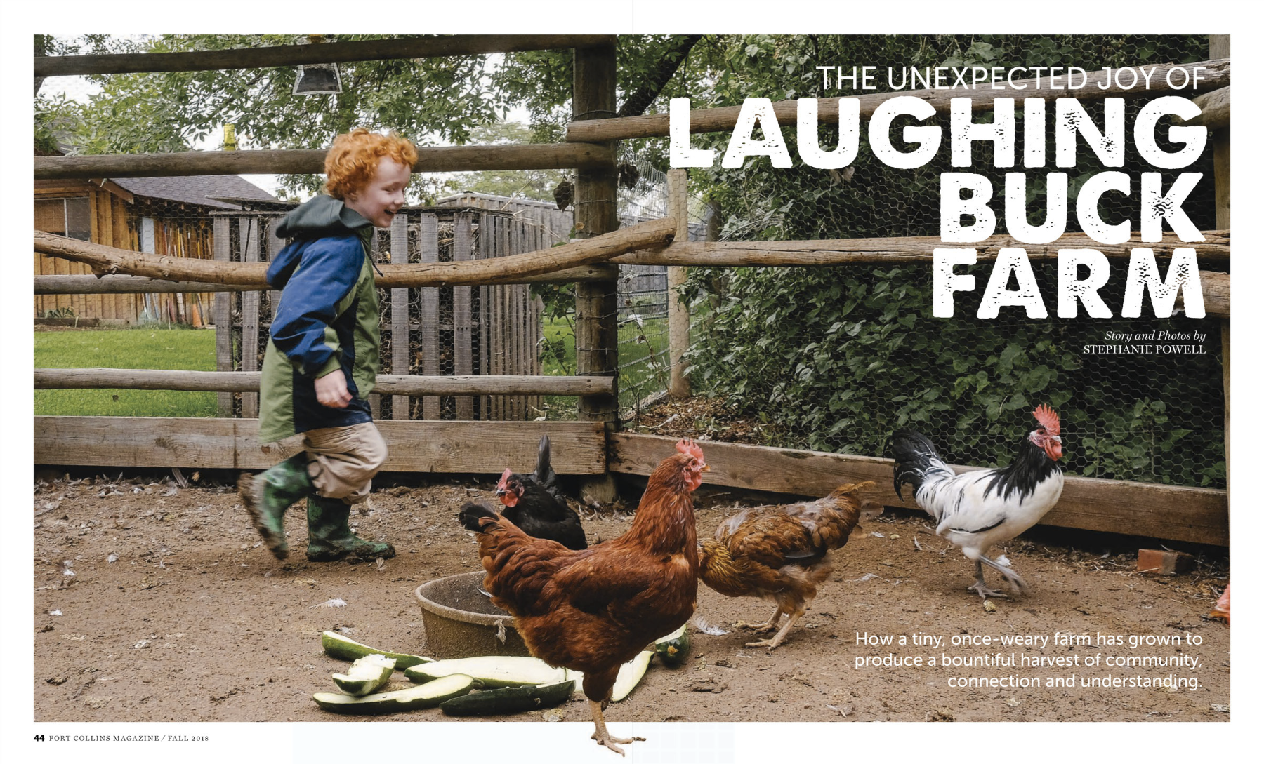 Tearsheets_Laughing Buck Farm 1.png