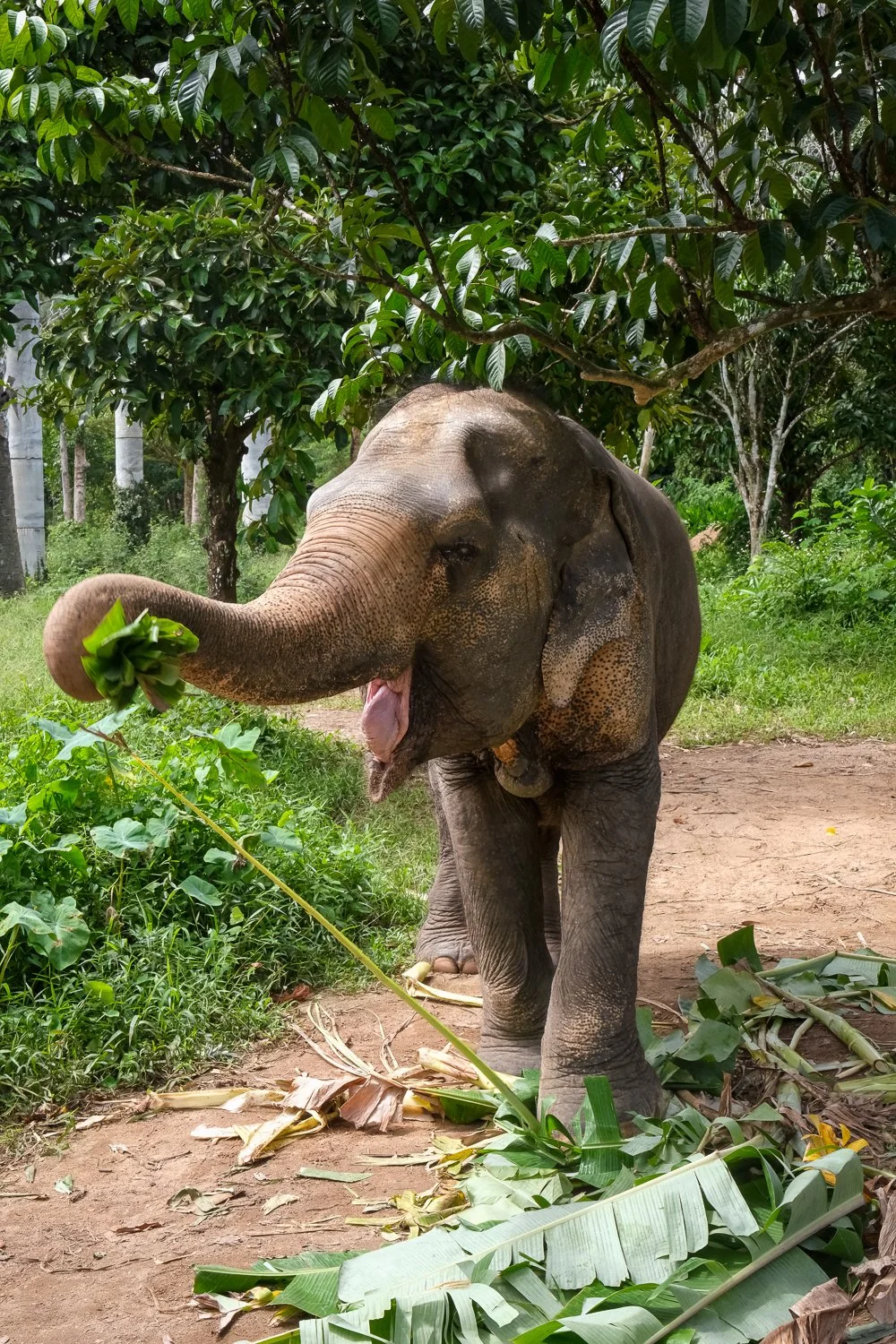 Stephanie Powell Portfolio-220.jpg