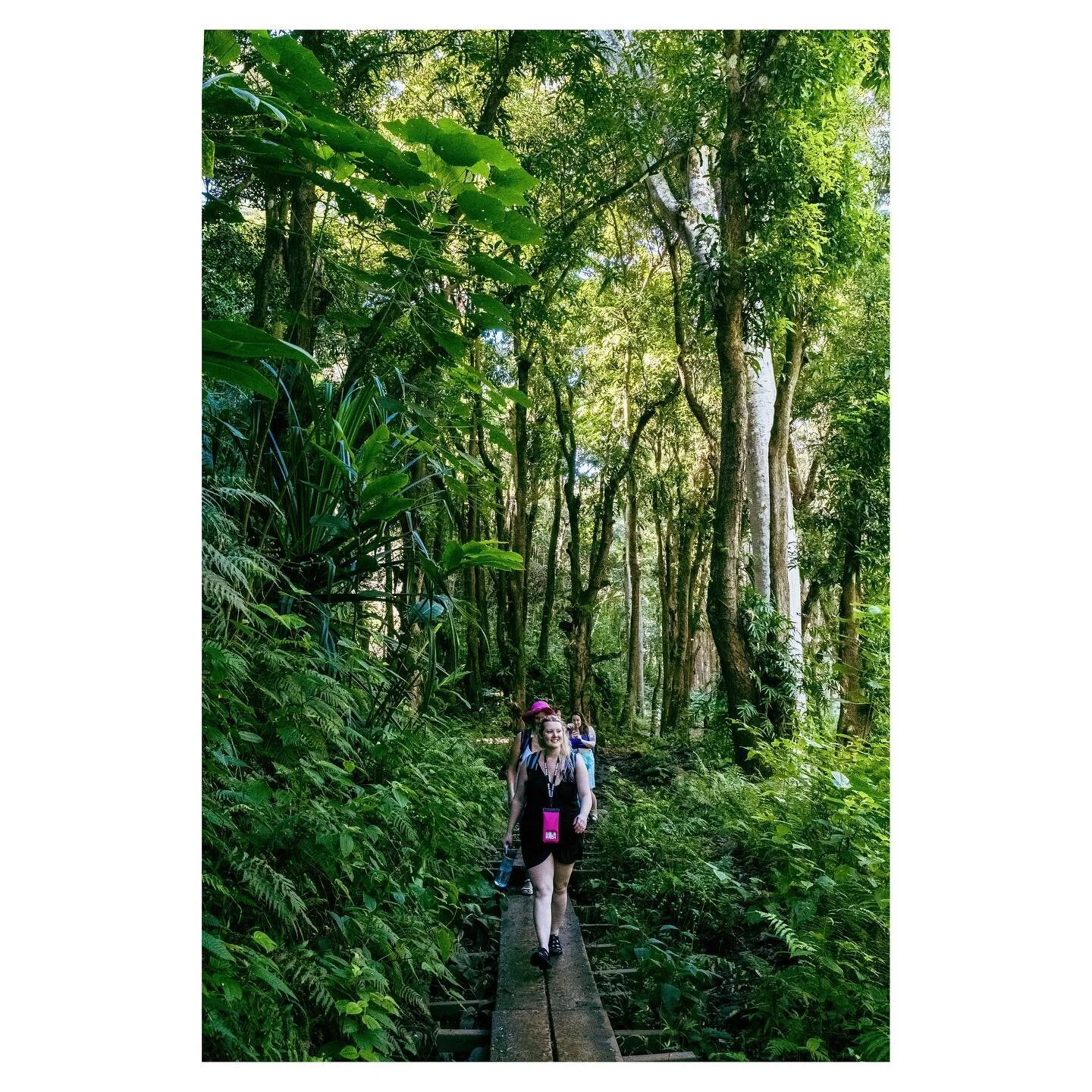 There was hiking. There was swimming in waterfalls. There was a plethora of roosters. There was shave ice. 🥾 🌊 🐔 🍧