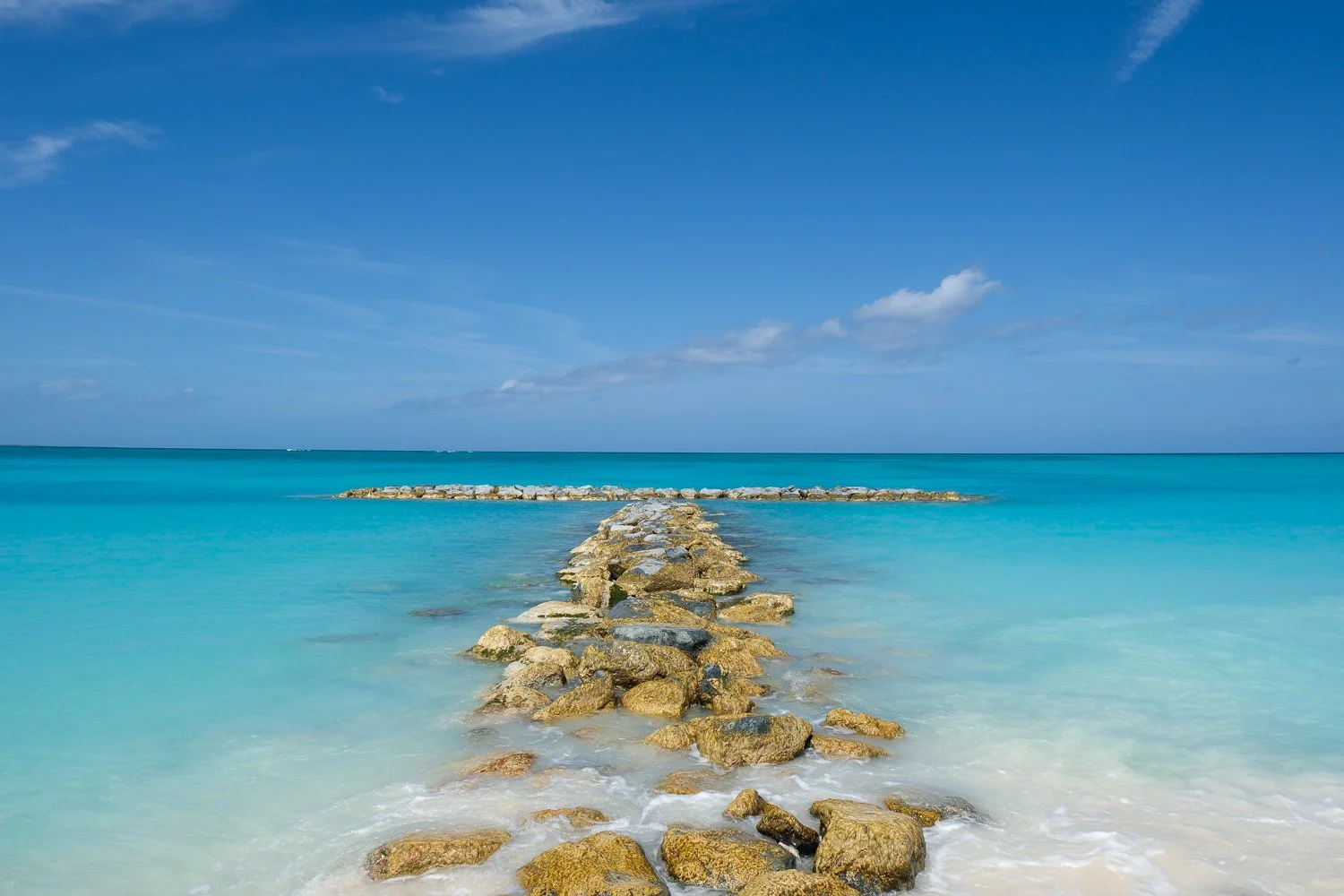 Stephanie Powell Portfolio-254.jpg