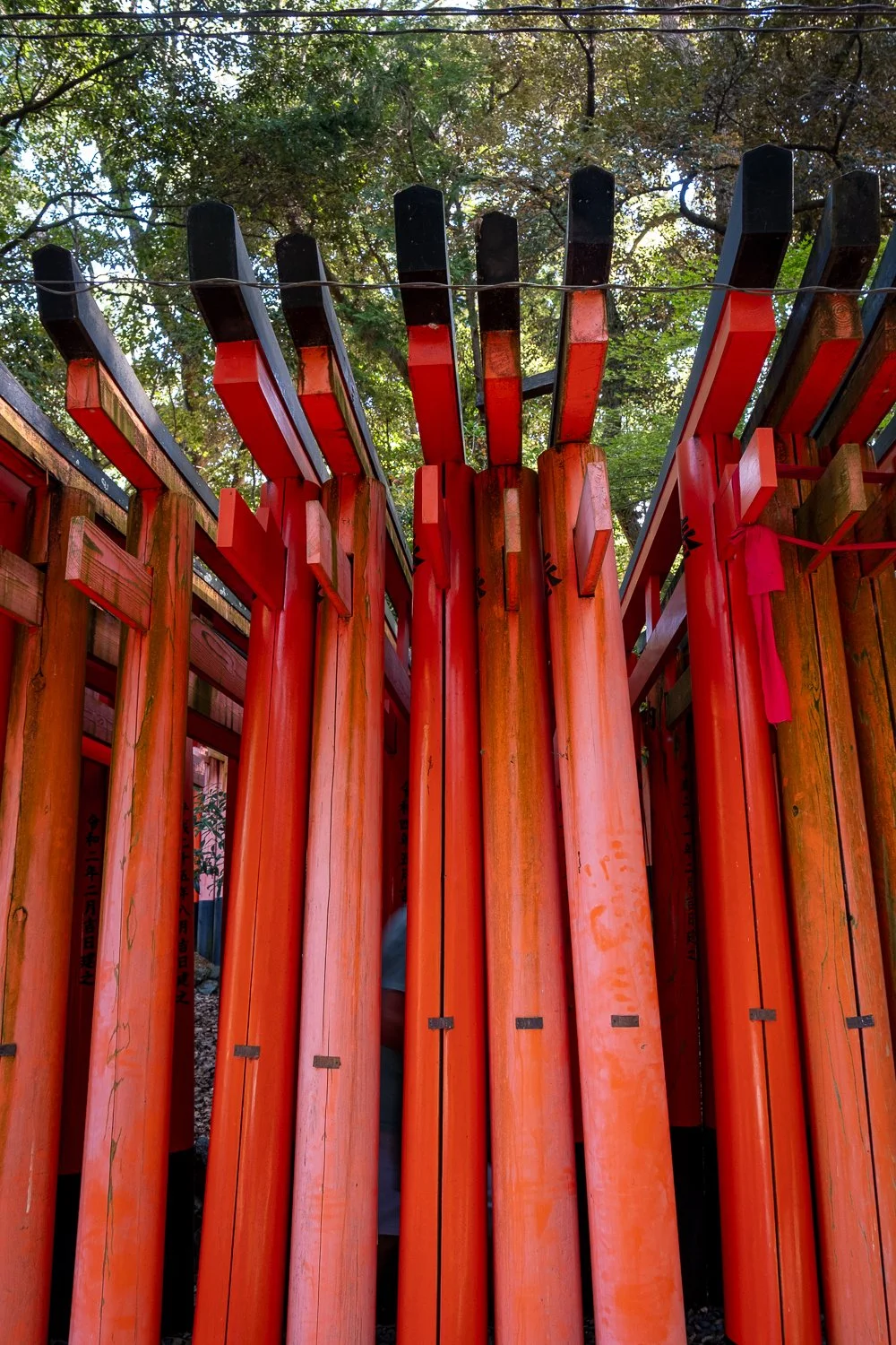 Stephanie Powell Portfolio-202.jpg