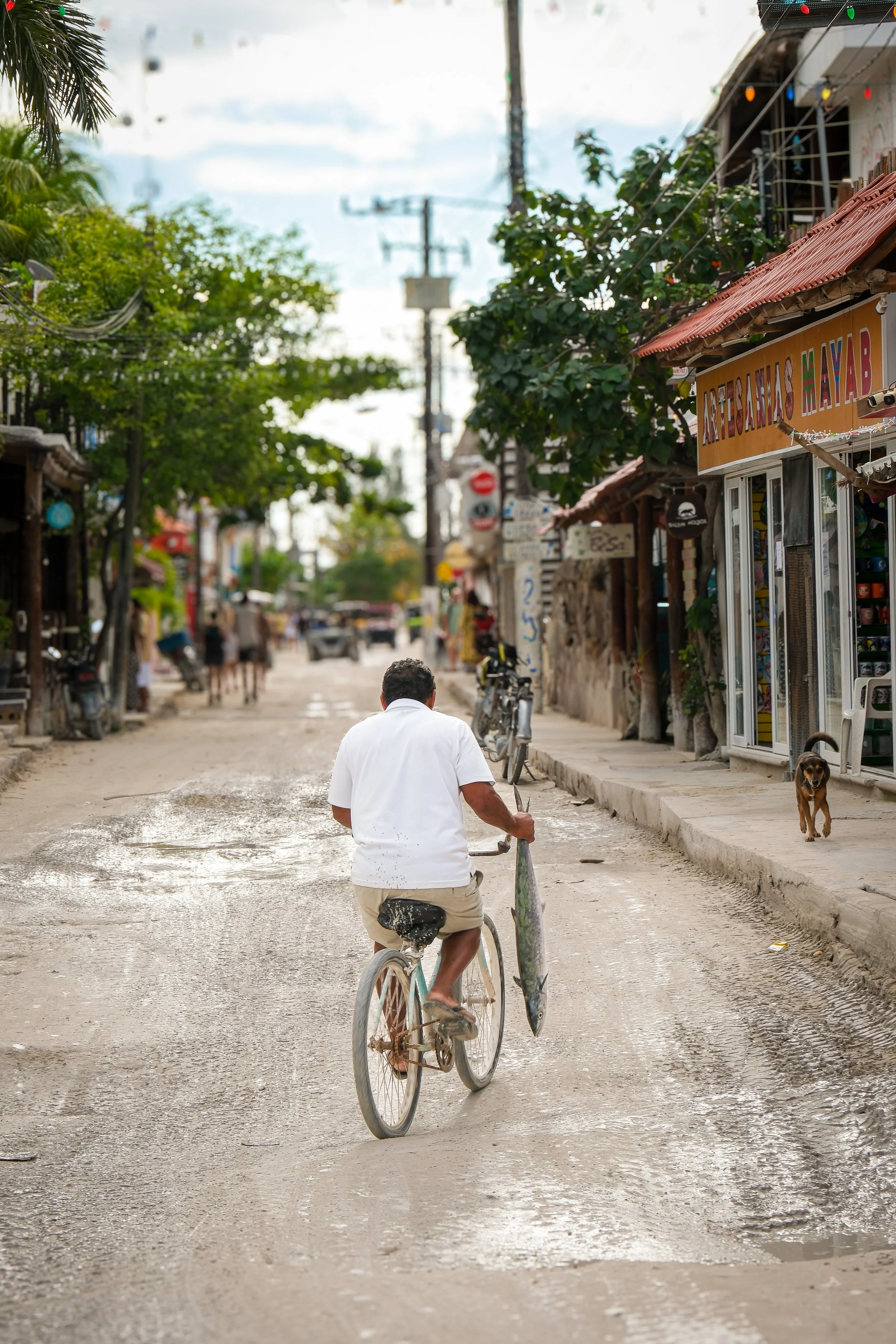 Stephanie Powell Portfolio-18.jpg