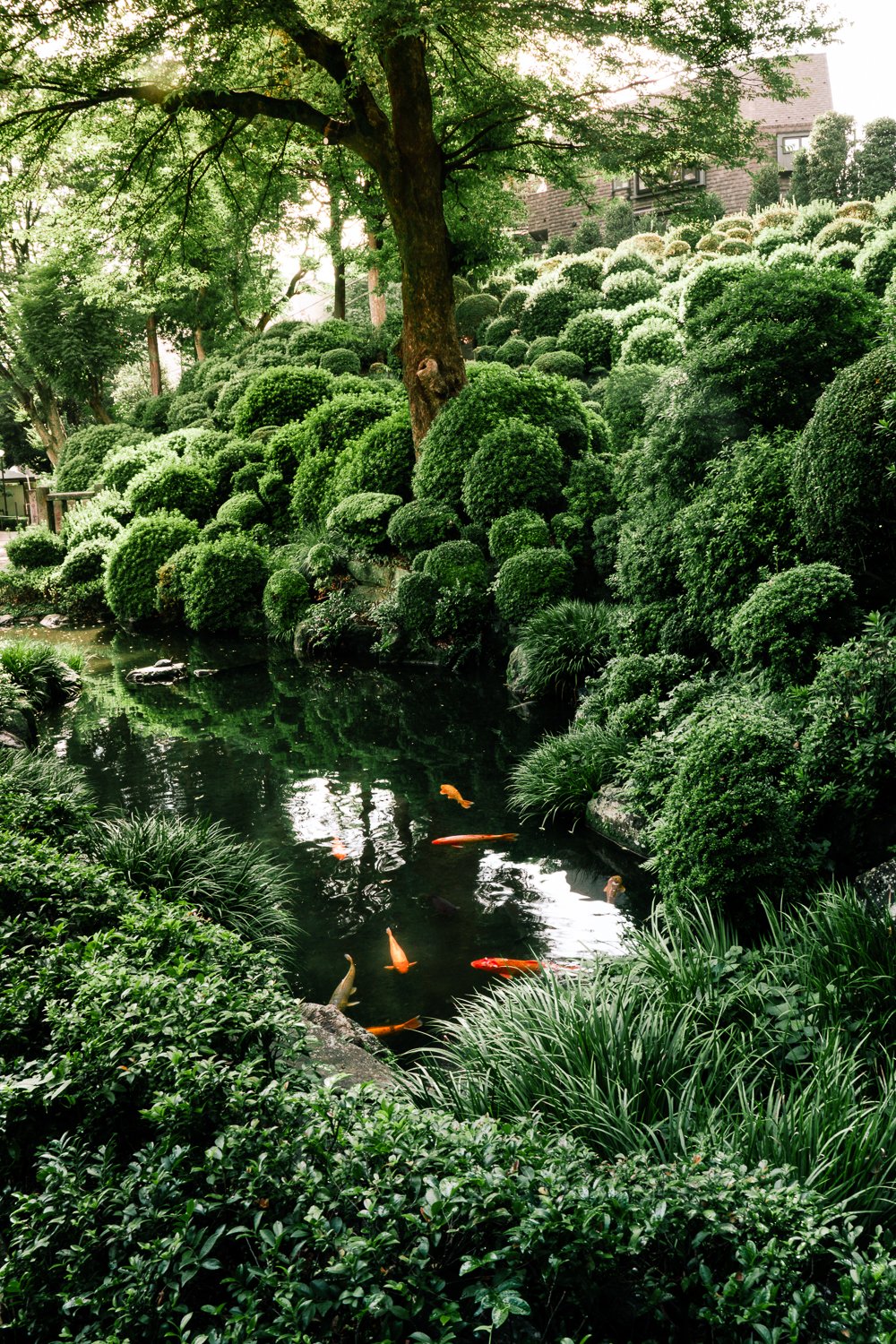 Stephanie Powell Portfolio-200.jpg