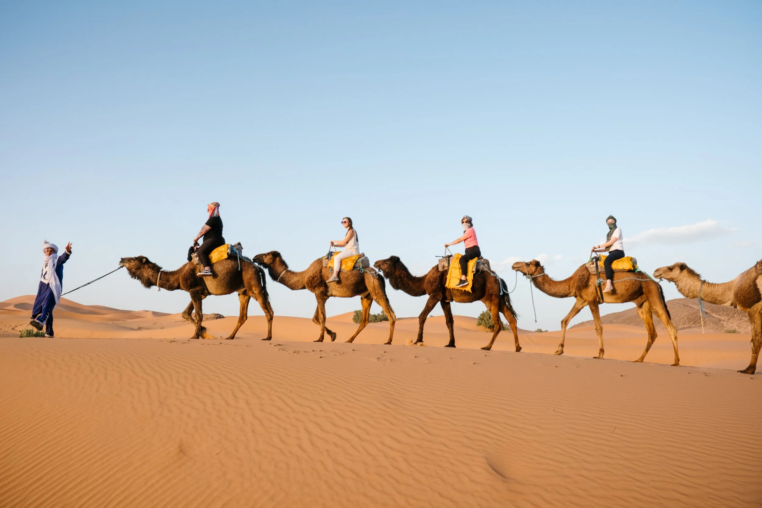 Stephanie Powell Portfolio 300-4.jpg