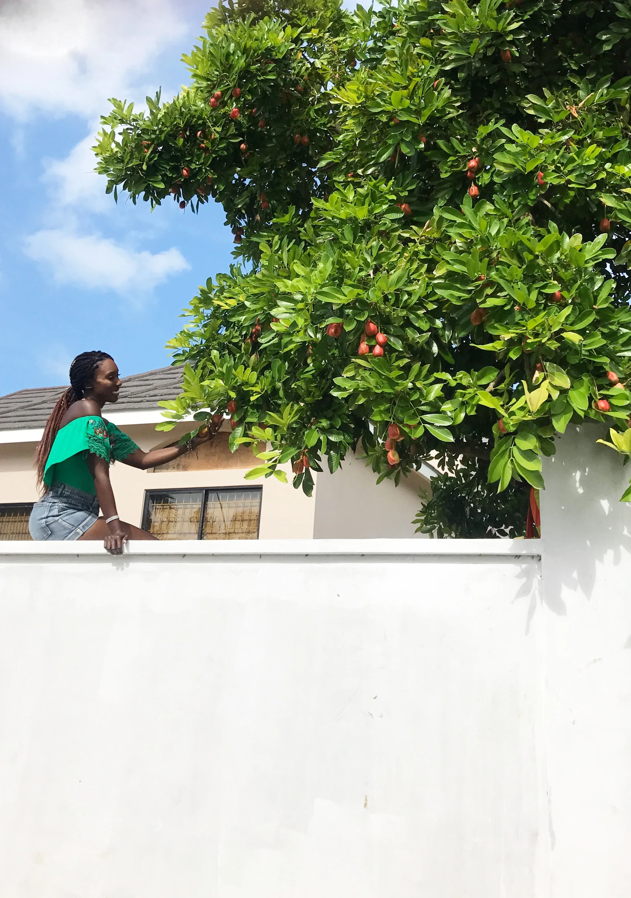 Picking-Fruit-Jamaica-Dayna-Bolden.JPG