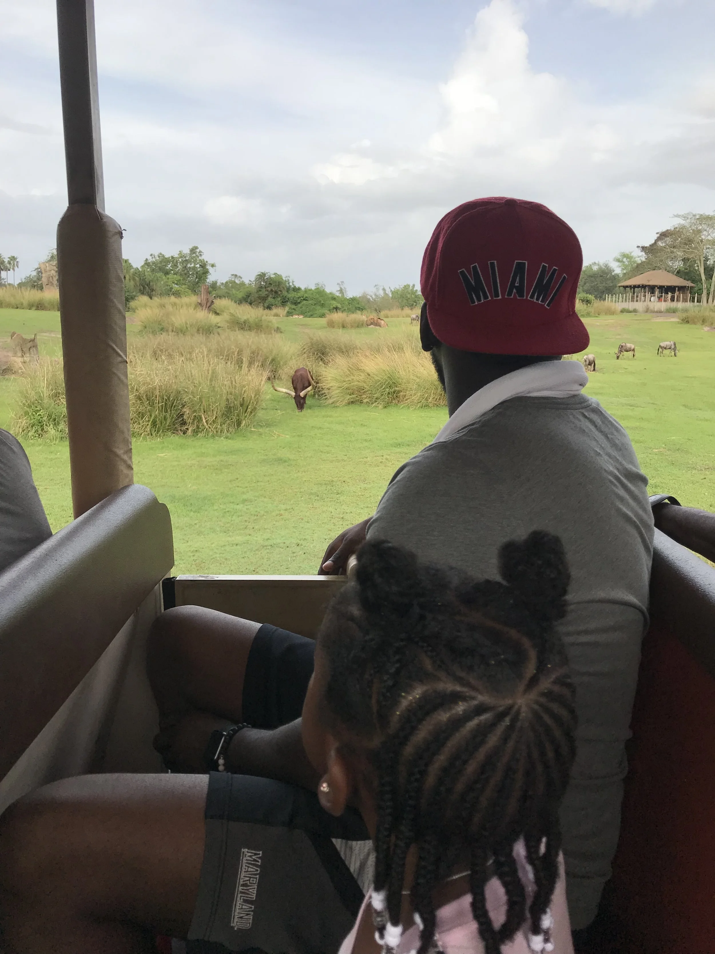 Animal Kingdown Safari 1.jpg