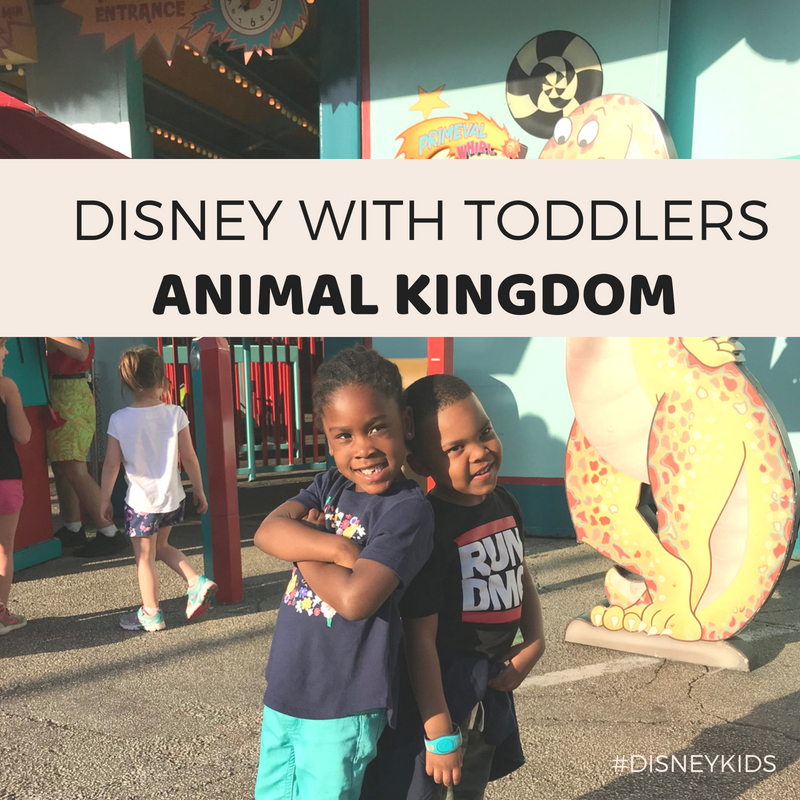 TRAVELING TO DISNEY WITH TODDLERS Part 2: Animal Kingdom