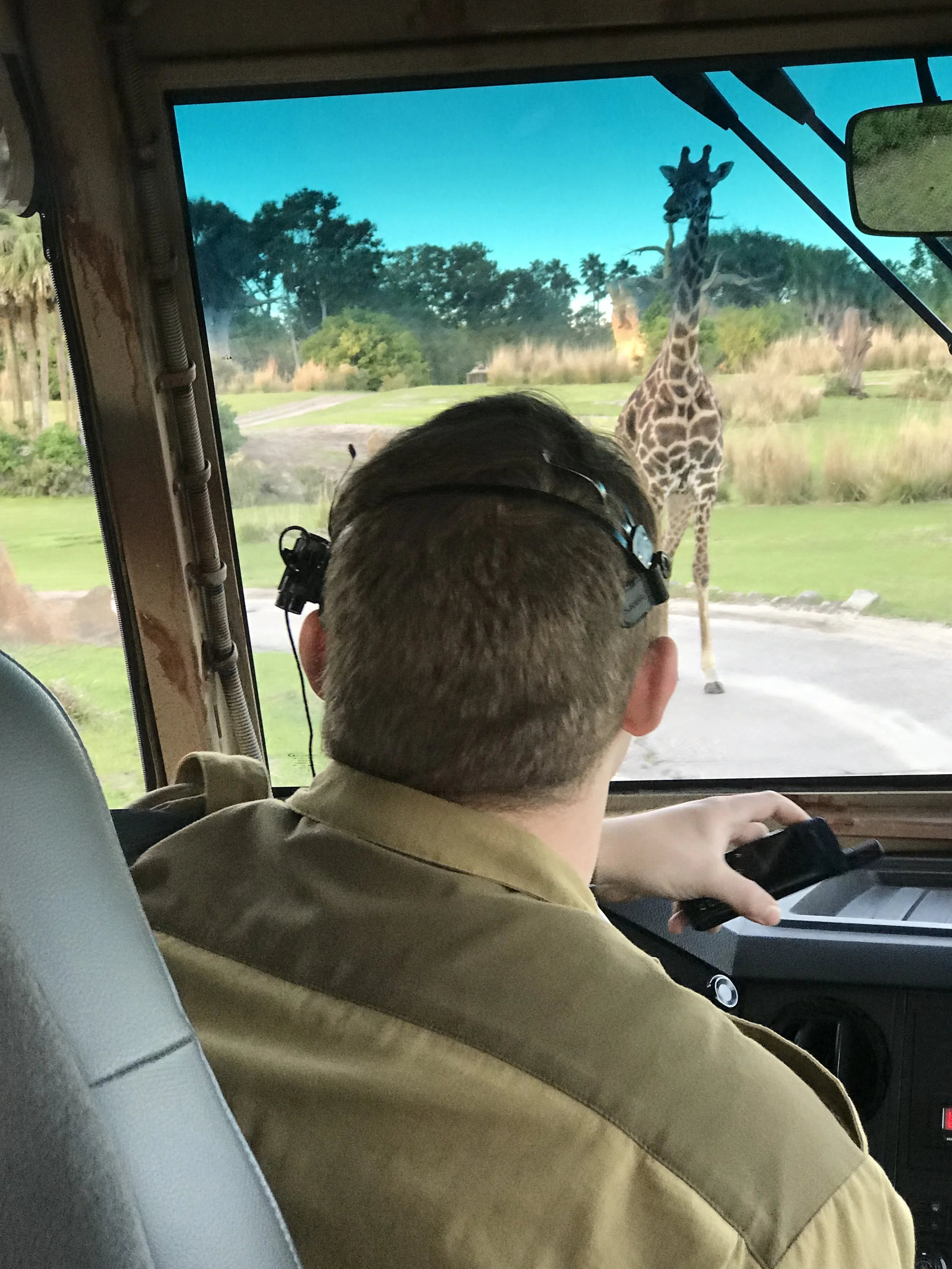 Disney-with-toddlers-animal-kingdom-kilimamanjaro-safari.-2.jpg