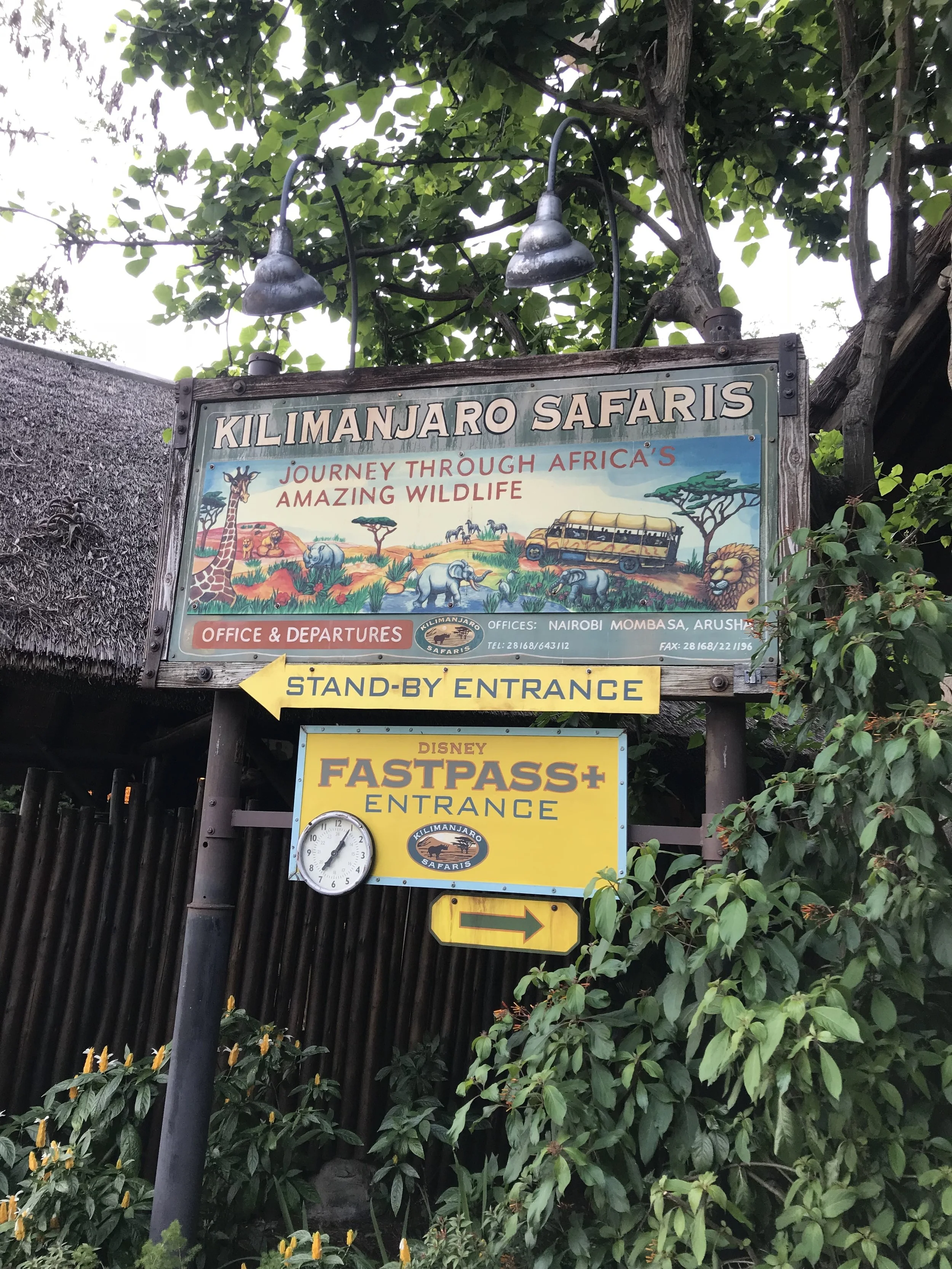 Disney-with-toddlers-animal-kingdom-kilimamanjaro-safari.jpg