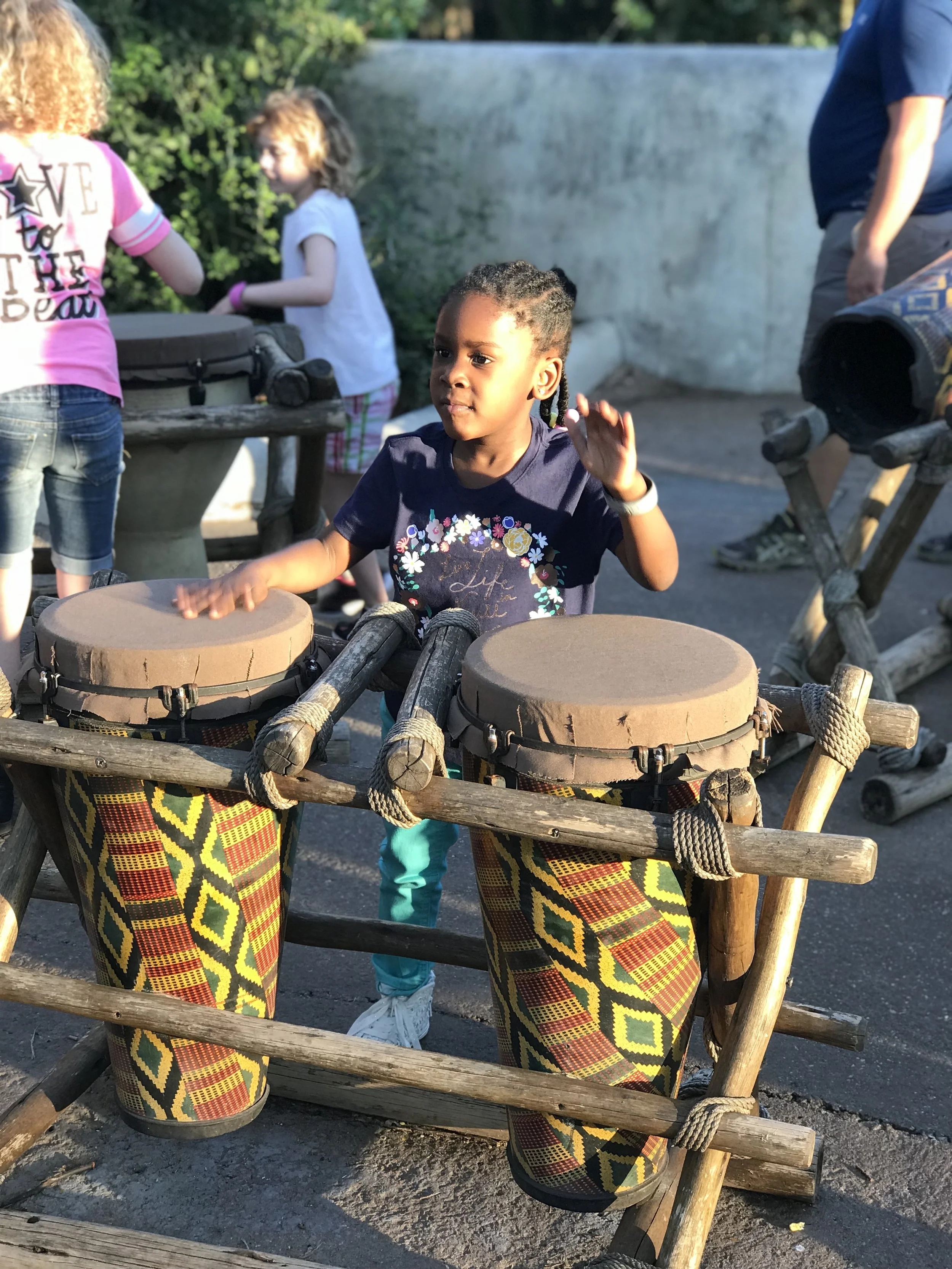 Disney-with-toddlers-animal-kingdom-4.jpg