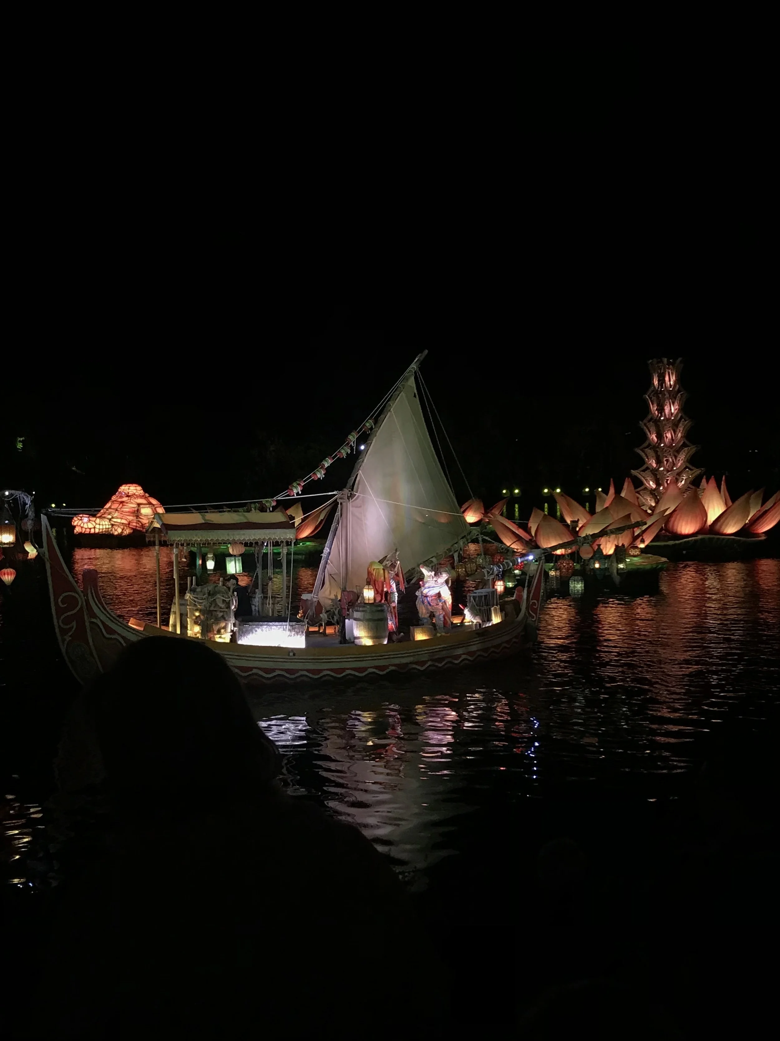 Disney-with-toddlers-animal-kingdom-rivers-of-light-4.jpg