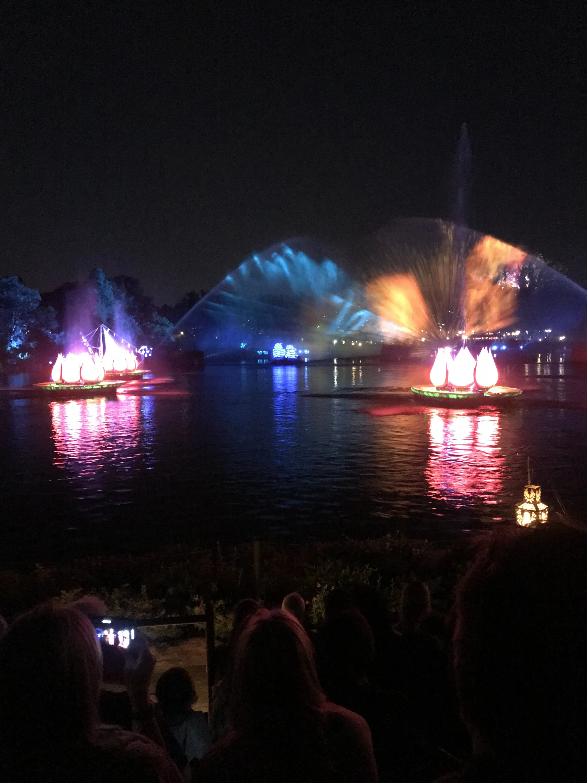 Disney-with-toddlers-animal-kingdom-rivers-of-light..jpg