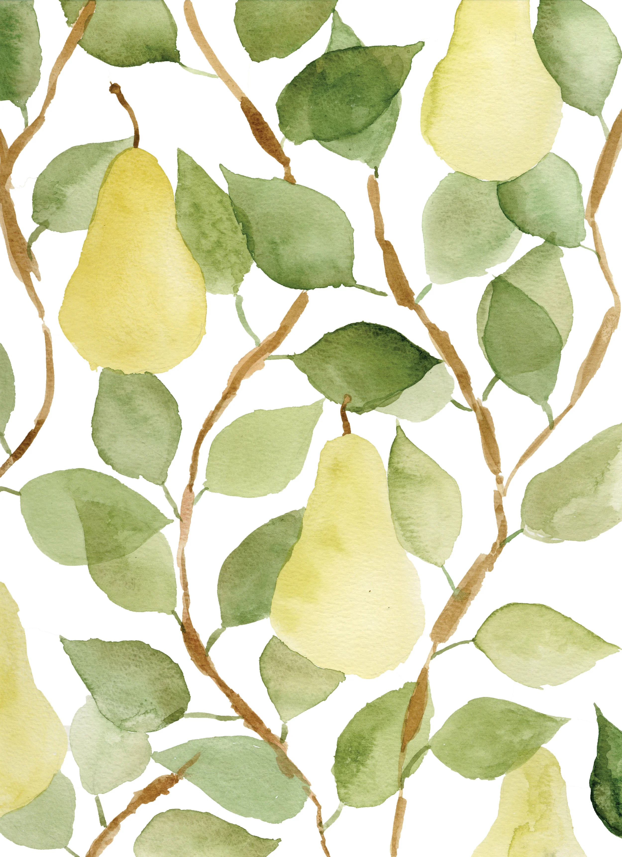 pears.jpg