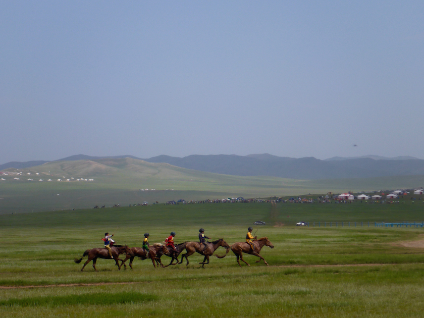 Lilly-Wild-Soyolon-Horse-Racing.jpg