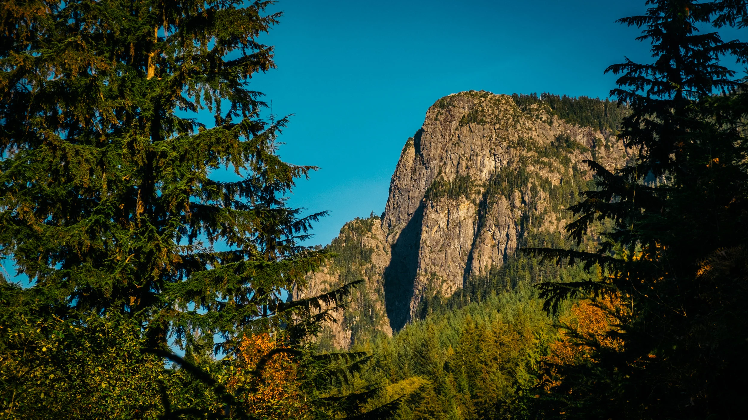 DSCF3497.jpg