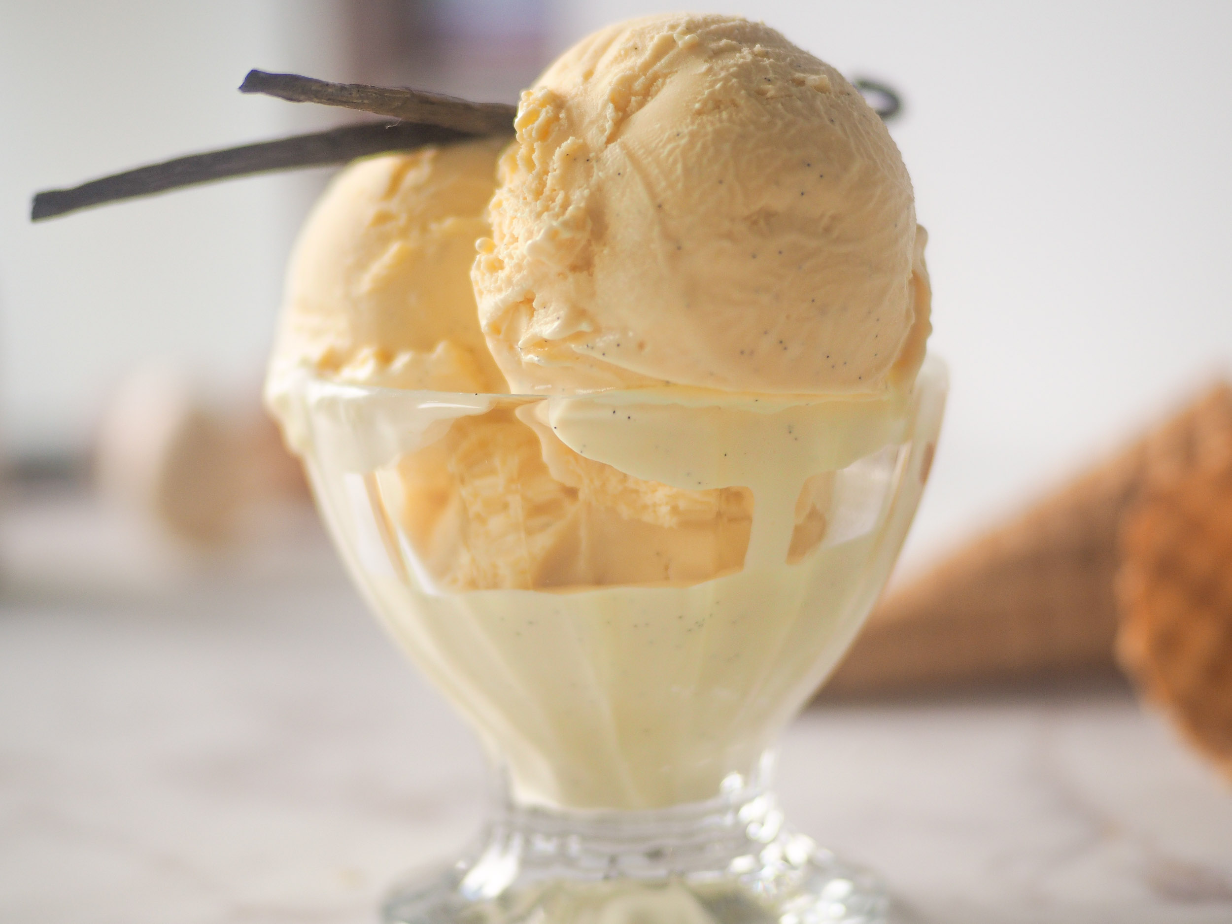 Double Vanilla Ice Cream