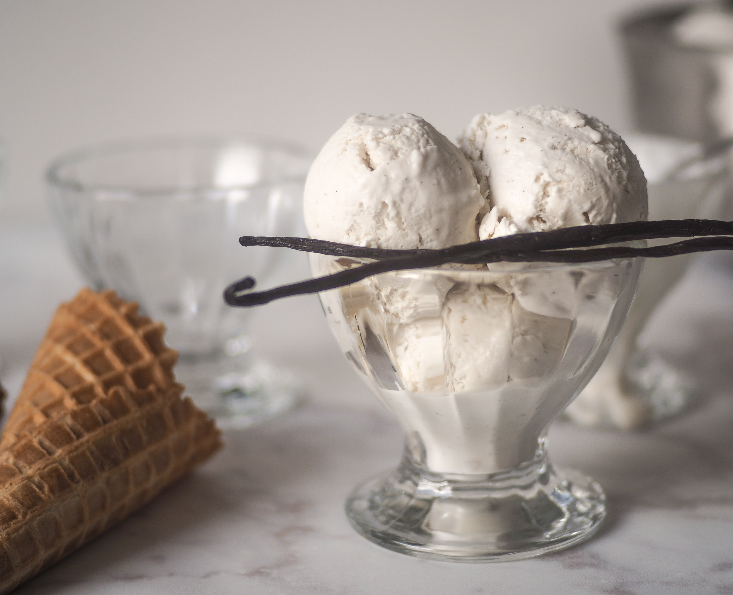 Vanilla Coconut Ice Cream