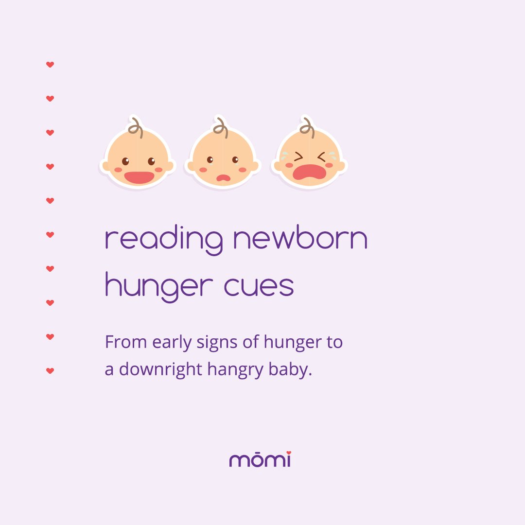 Carousel-Feeding-Cues-01.jpg