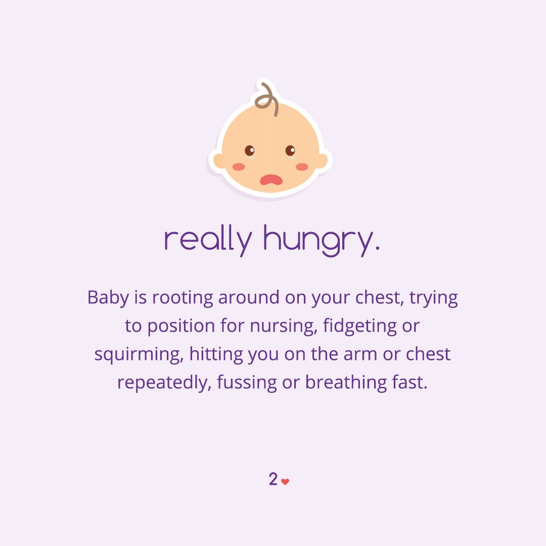 Carousel-Feeding-Cues-03.jpg