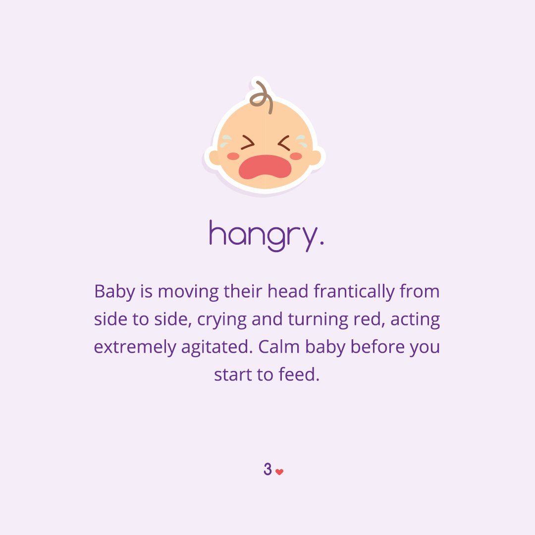Carousel-Feeding-Cues-04.jpg