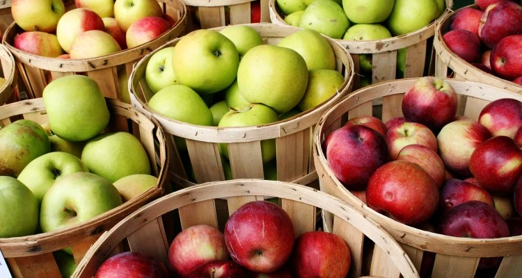 apples-750x400.jpg