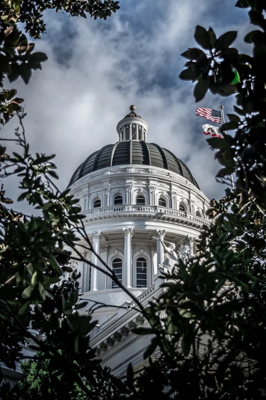MF9_7698-Edit.jpg