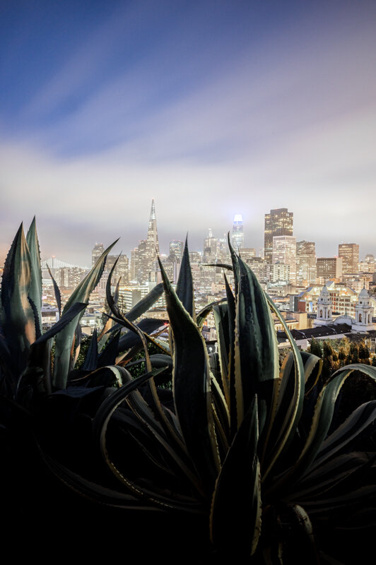 MFZ_0717-Edit.jpg