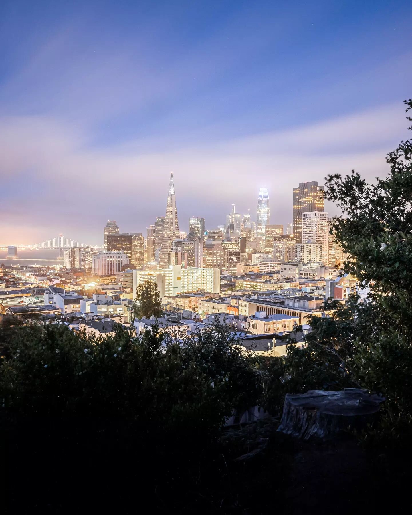 The spectacle of San Francisco's skyline under a layer of fog makes for an unbelievable blue hour.

📸: Z6 II + NIKKOR Z 24-70mm f/4 S from @nikonusa.

#NikonCreators #NikonZ6II #NIKKORZ #NikonNoFilter #OnlyInSF