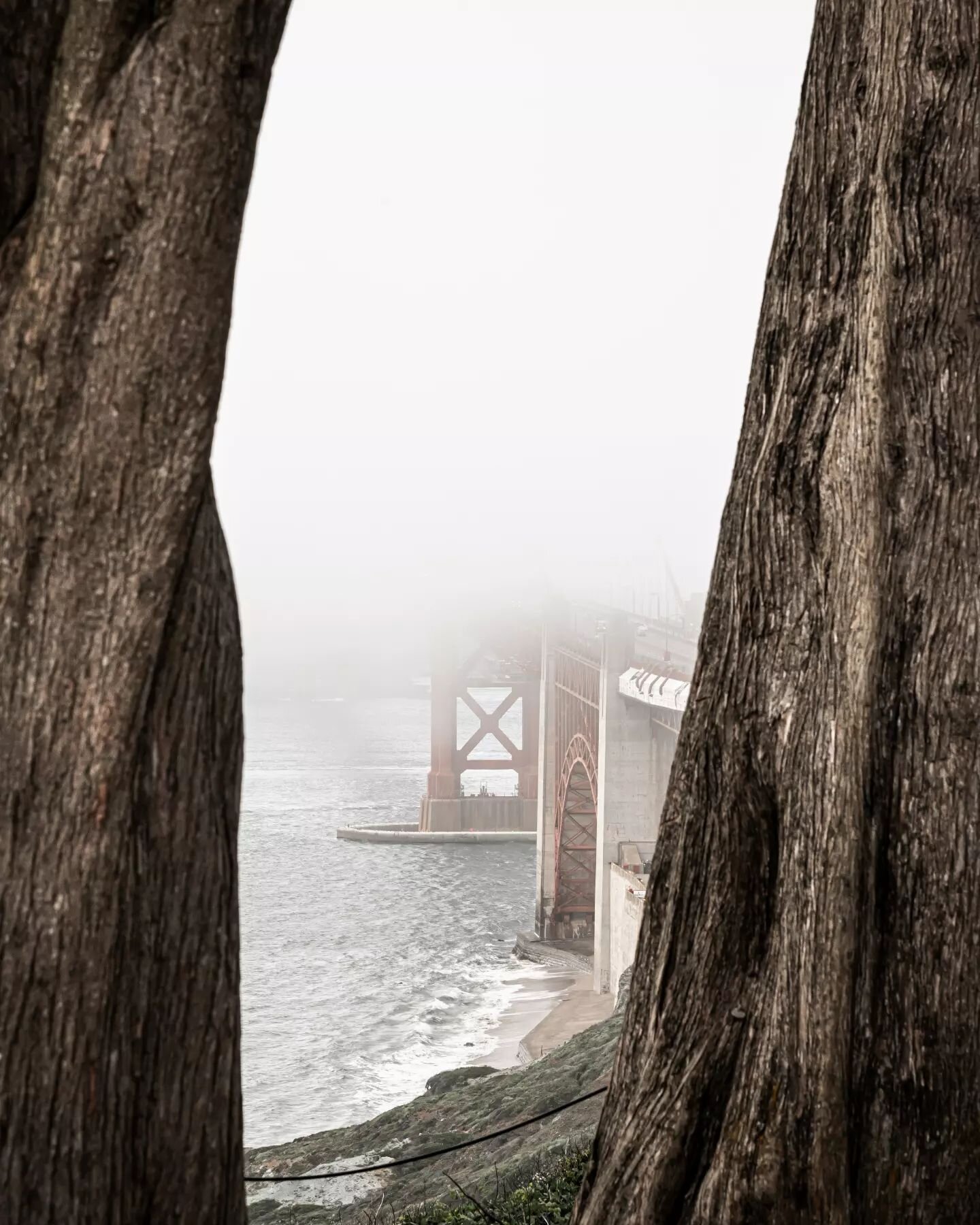 Even if the coldest winter we'll ever experience is the summer in San Francisco, we love it.

📸: Z6 II + AF-S NIKKOR 24-120mm f/4G ED VR with Mount Adapter FTZ from @nikonusa.

#NikonCreators #NikonZ6II #NIKKORZ #NikonNoFilter #GoldenGateBridge