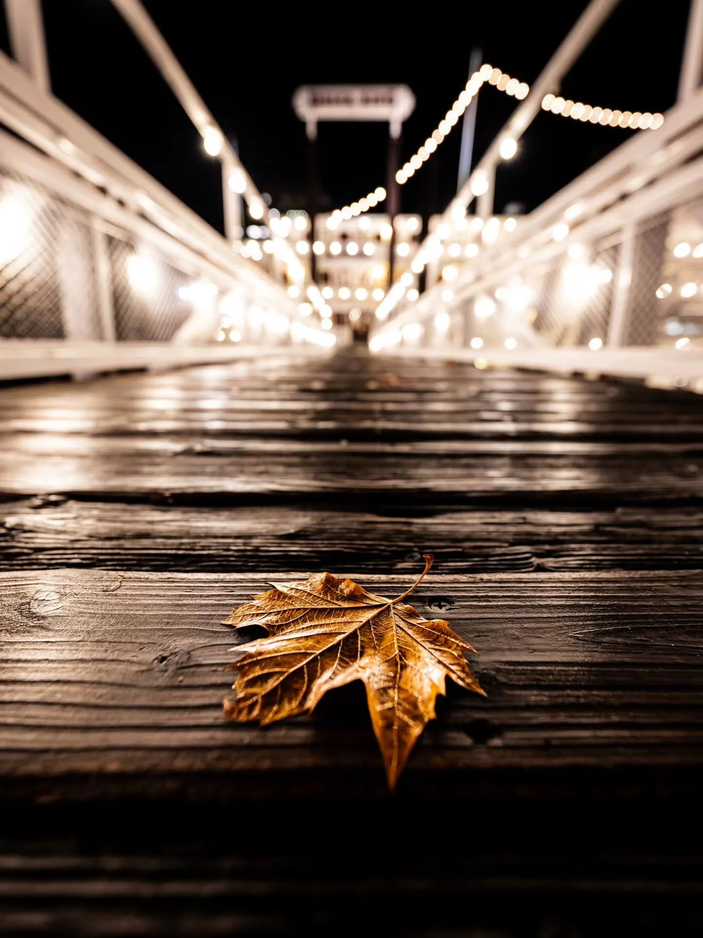 Reminded by the romance of a cold, late-night walk along the waterfront.