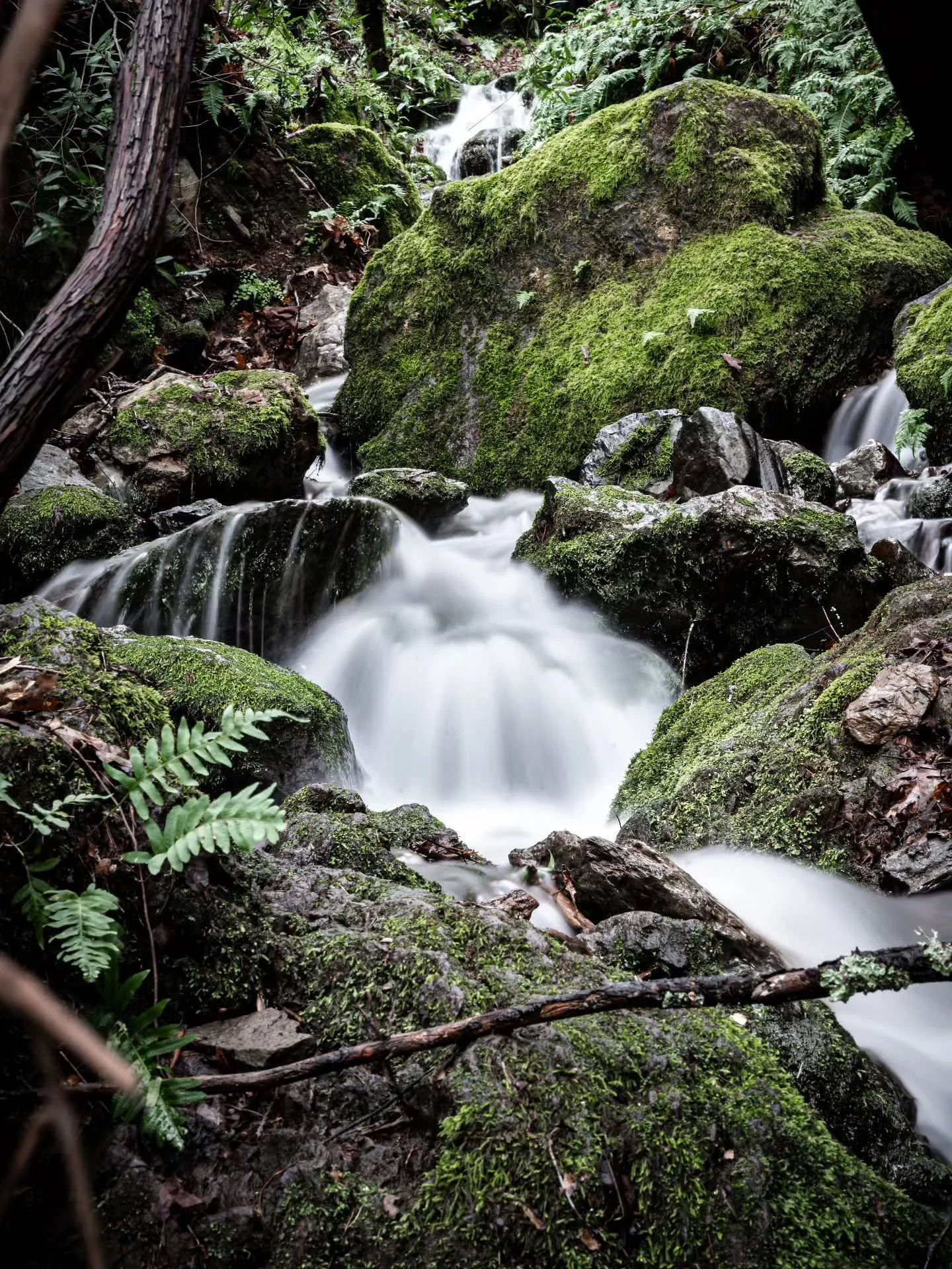 Taking a pause for a tranquil cascade in the foothills.