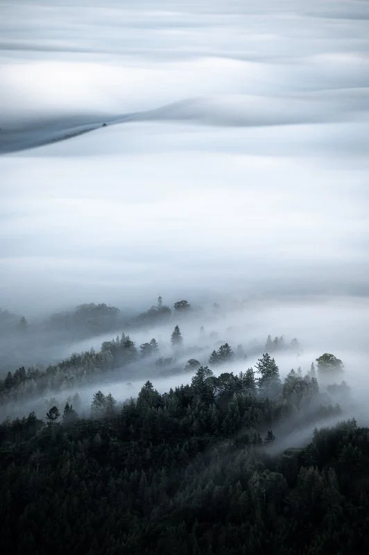 Waves of Fog