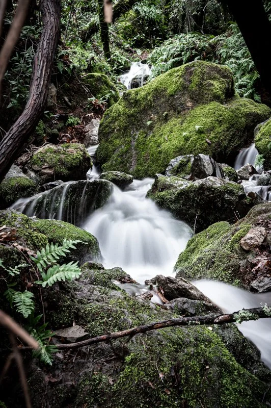 Tranquil Cascade of The Foothills