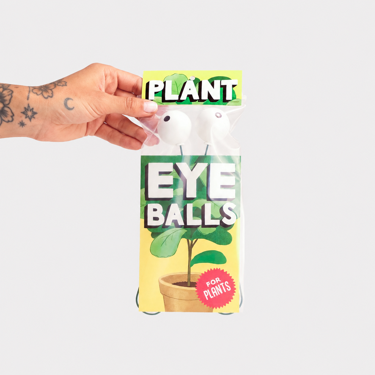 planteyePACtat.jpg