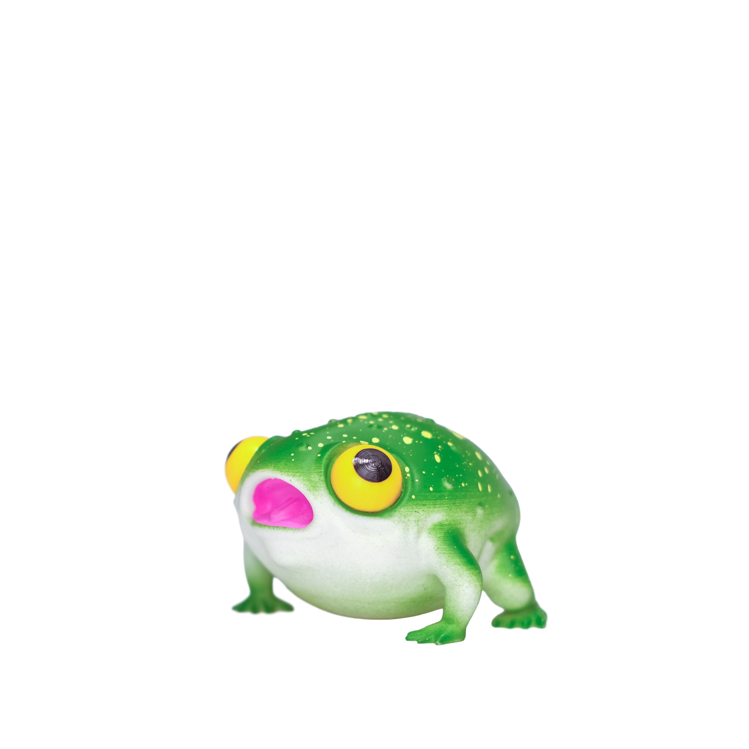 toadHERO.jpg