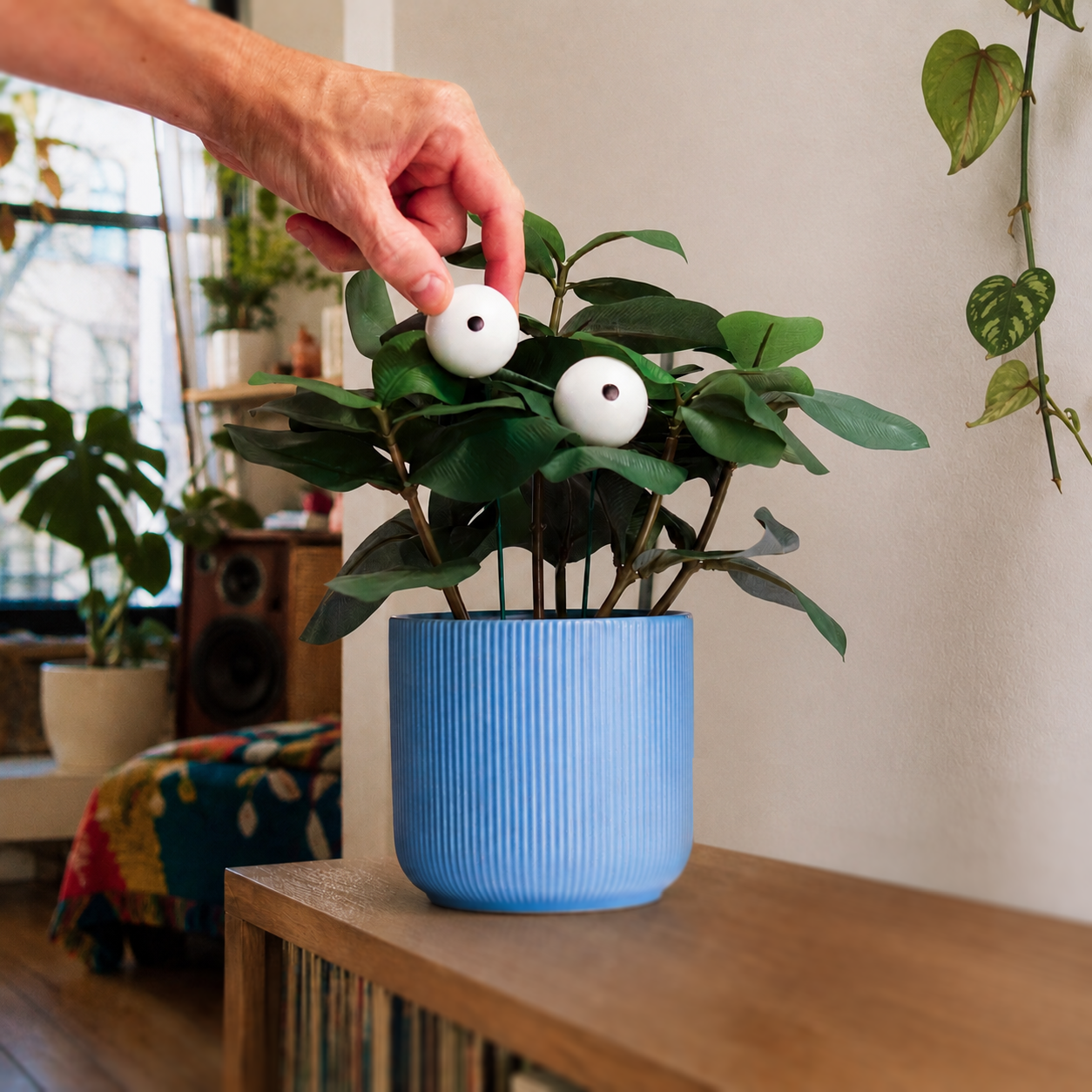 plantaction3.png