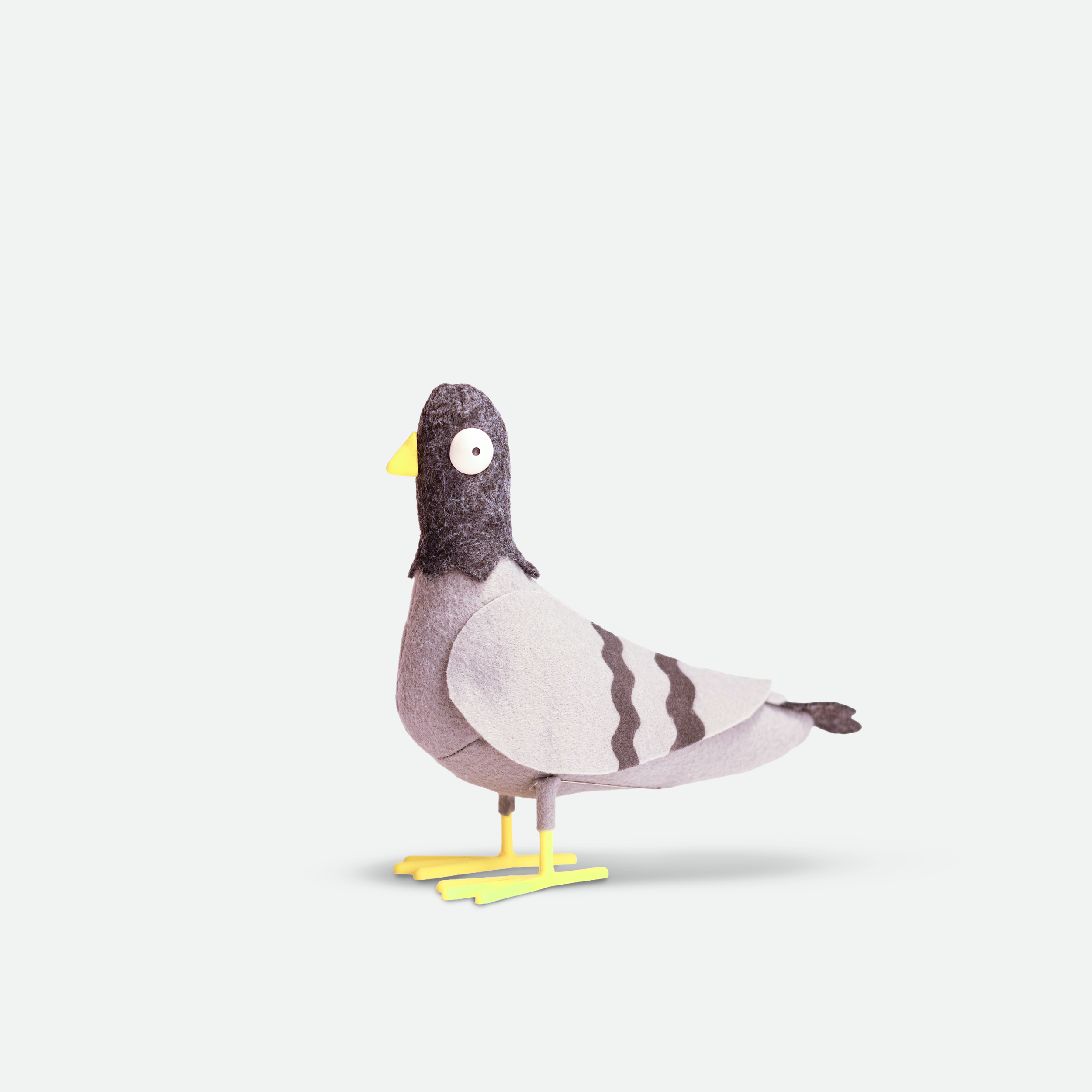Pigeon
