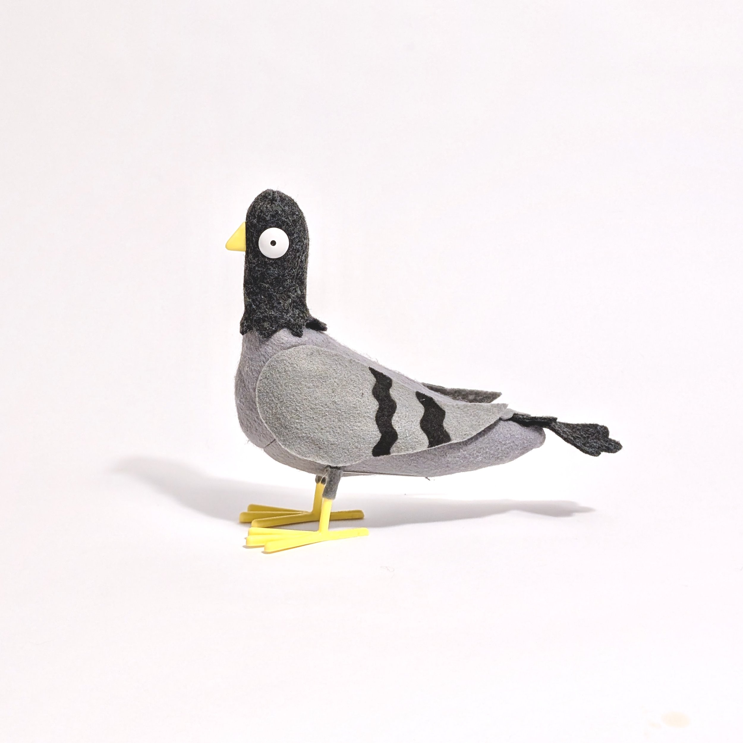 Pigeon