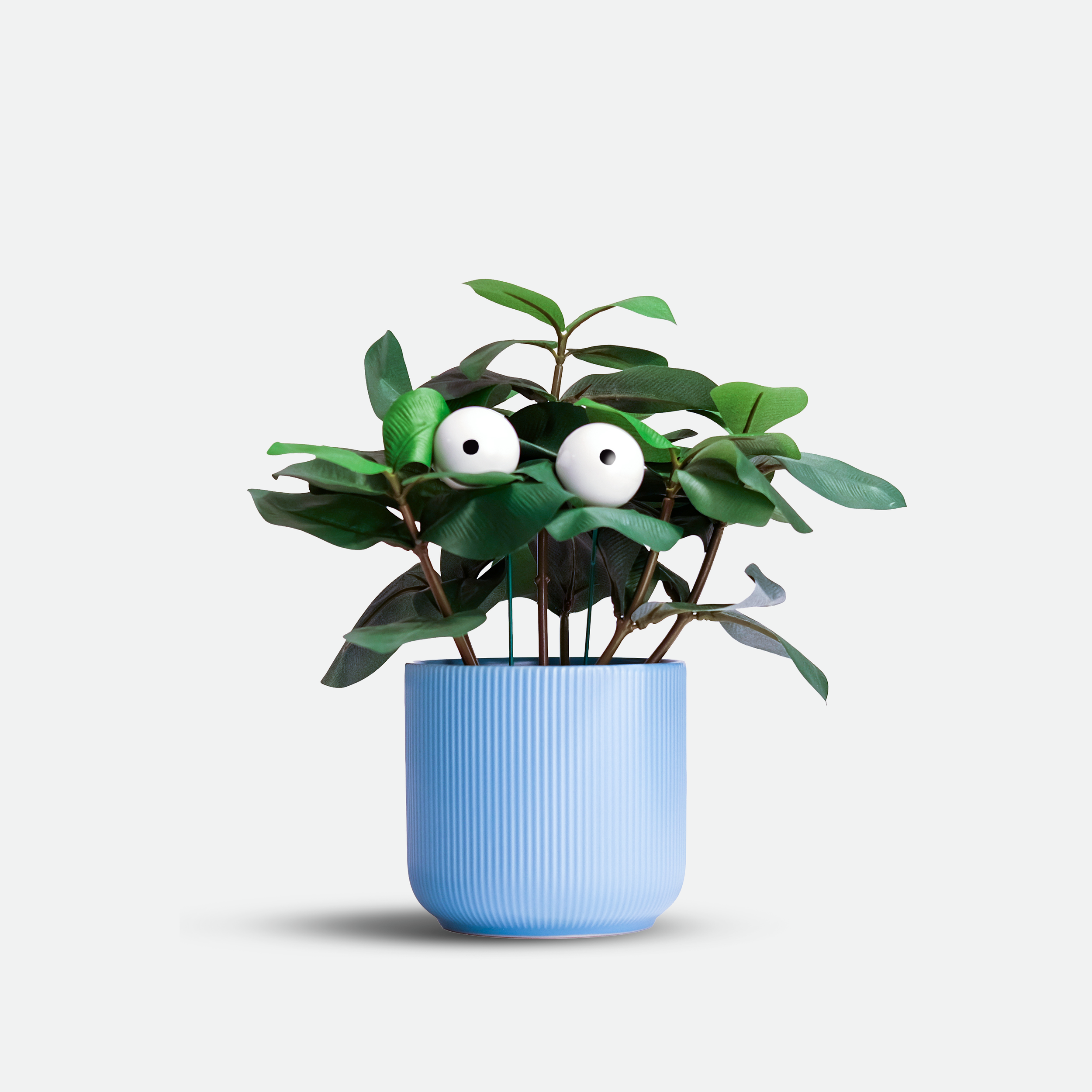 planteyeHERO2.png