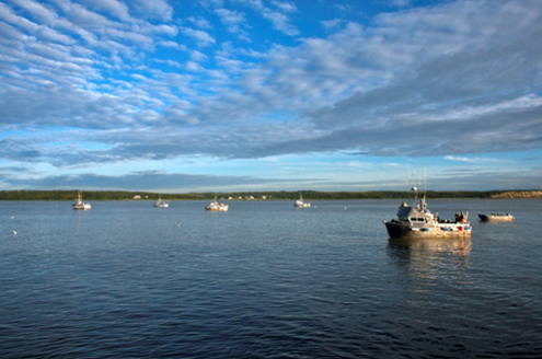 BristolBayGillnetters_Naknek_River.jpg.png